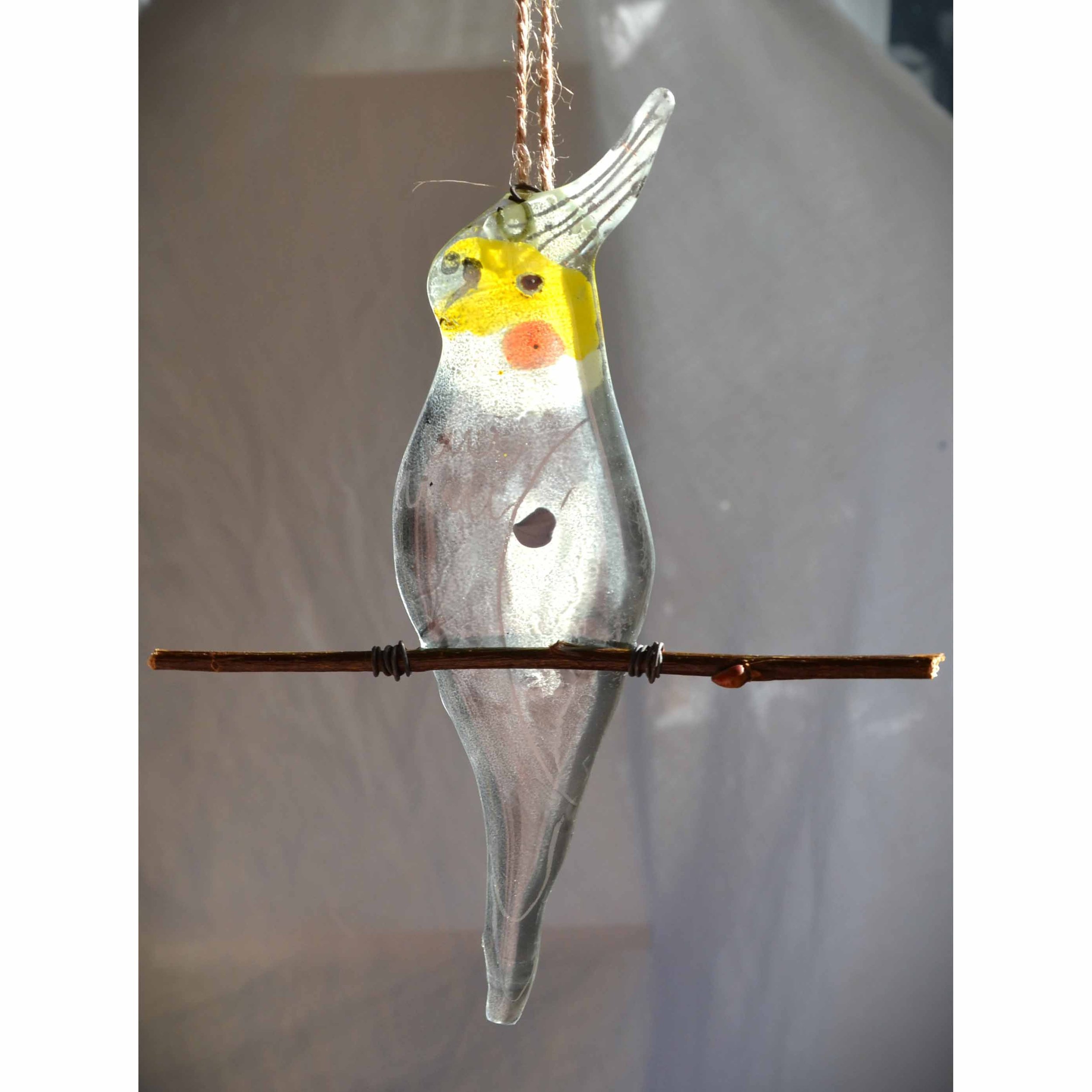 cockatiel 1.jpg
