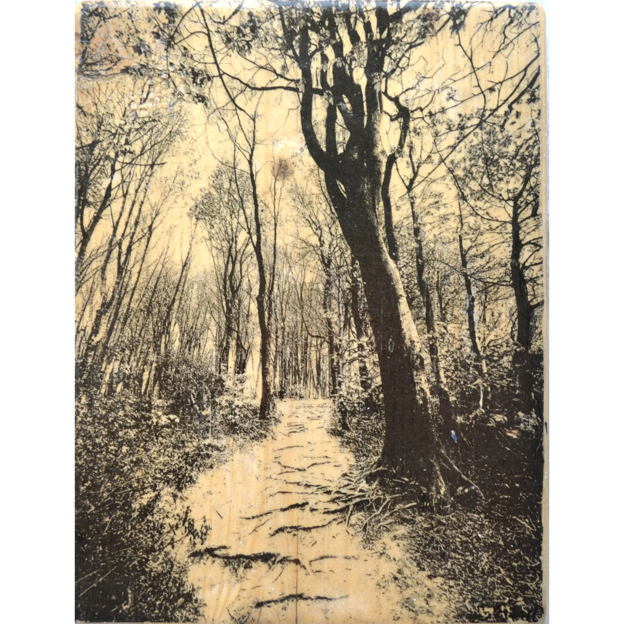 secret walk 2.JPG