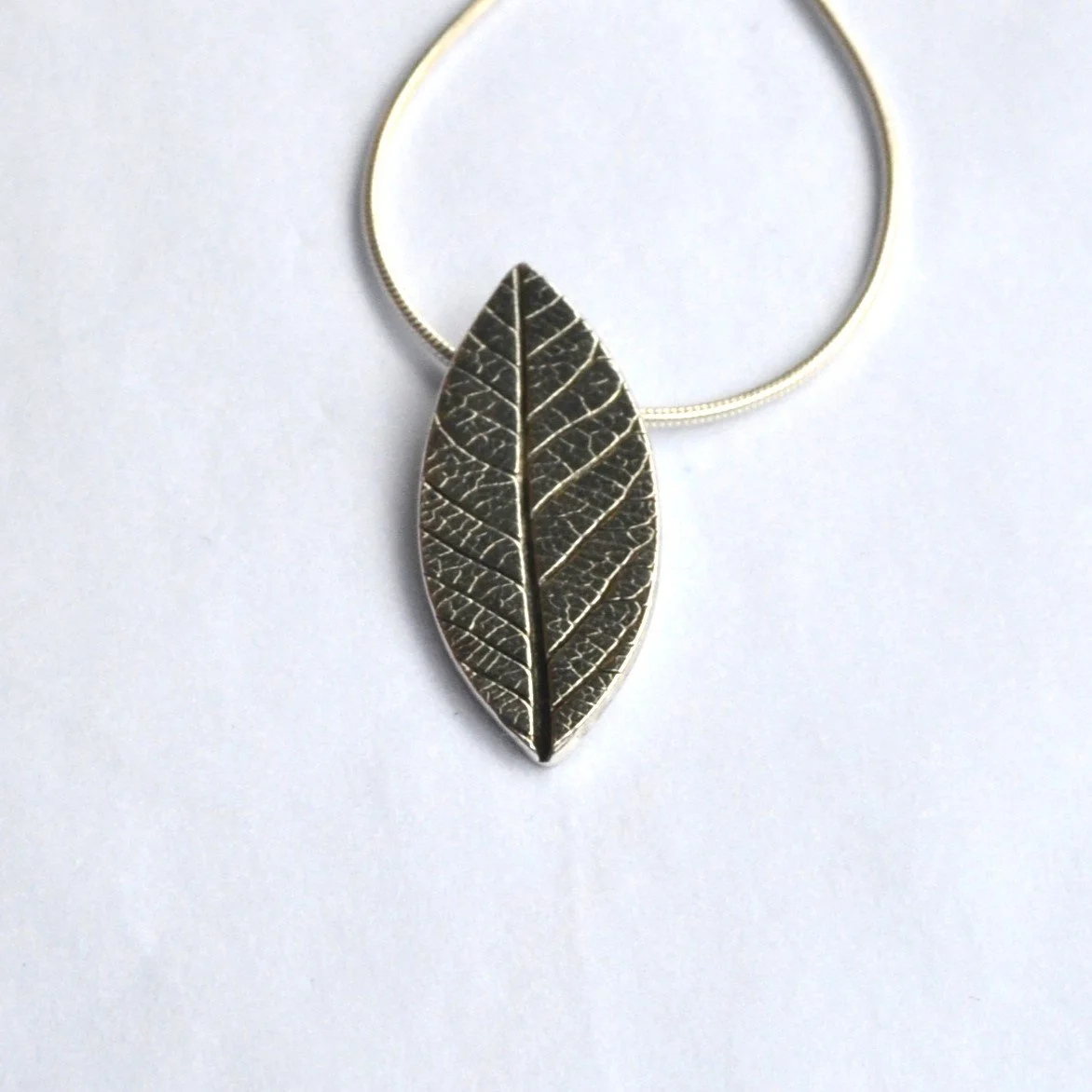 Ahs leaf 3.jpg