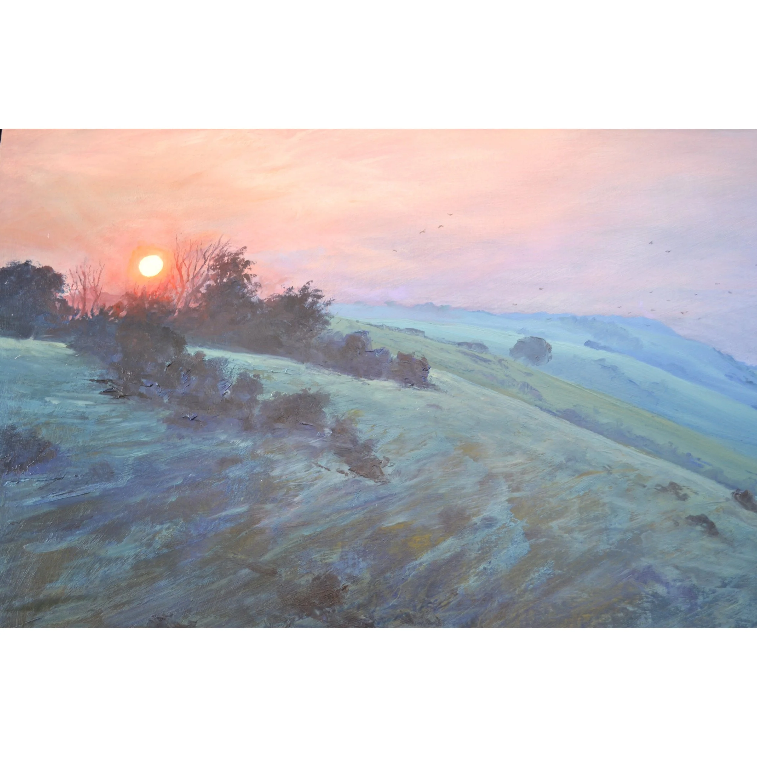 nothing but the crows jesse woodward 3.JPG