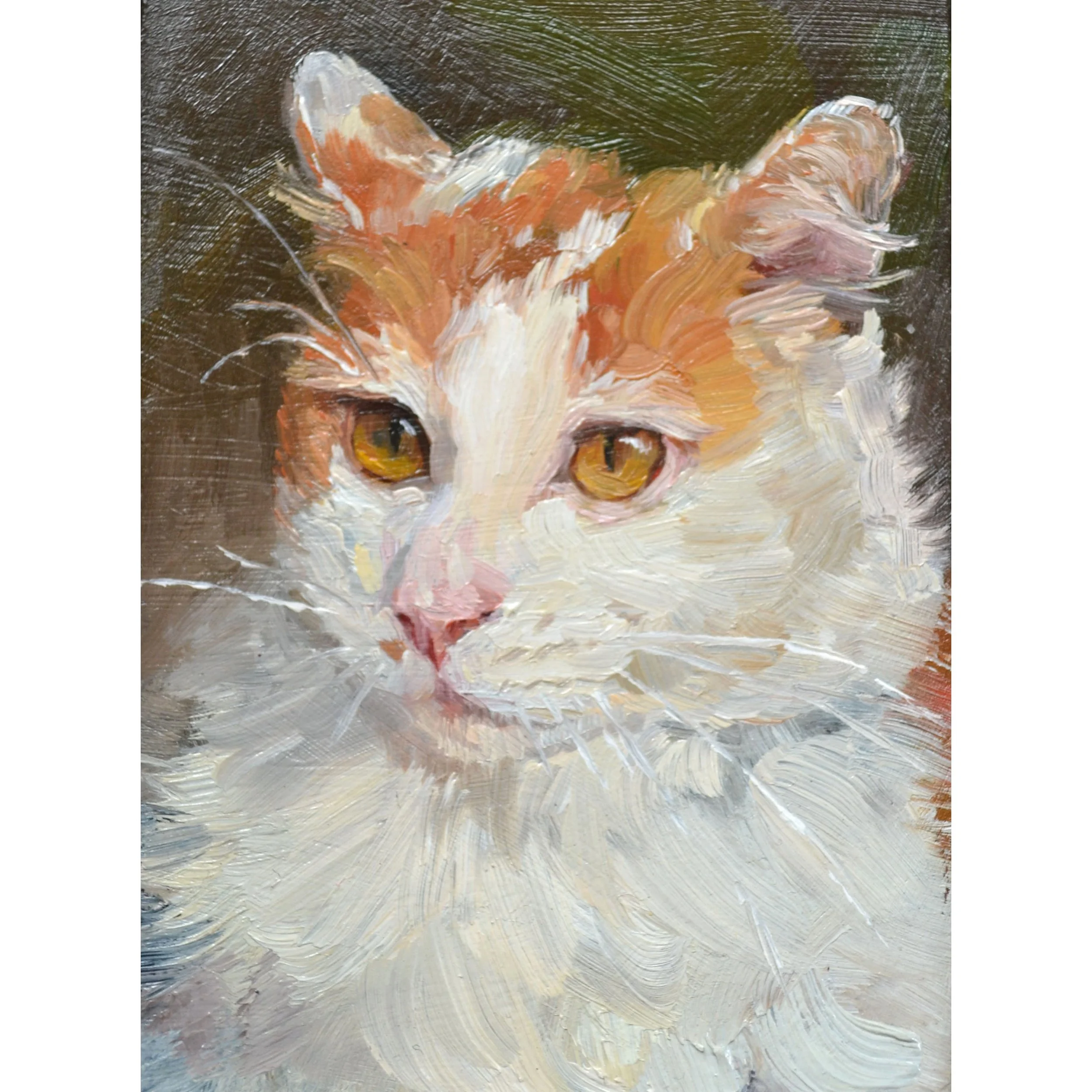 cream cat 3.jpg