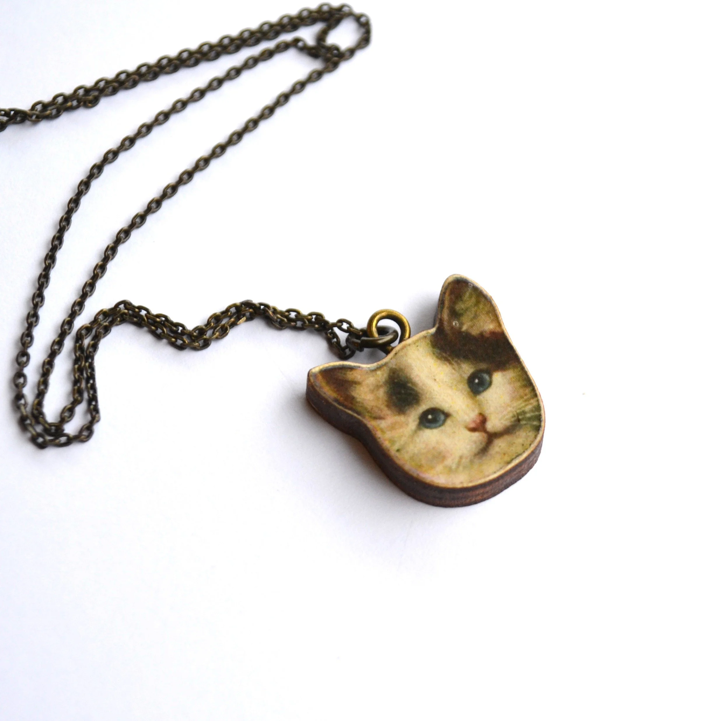 kitty 1.jpg