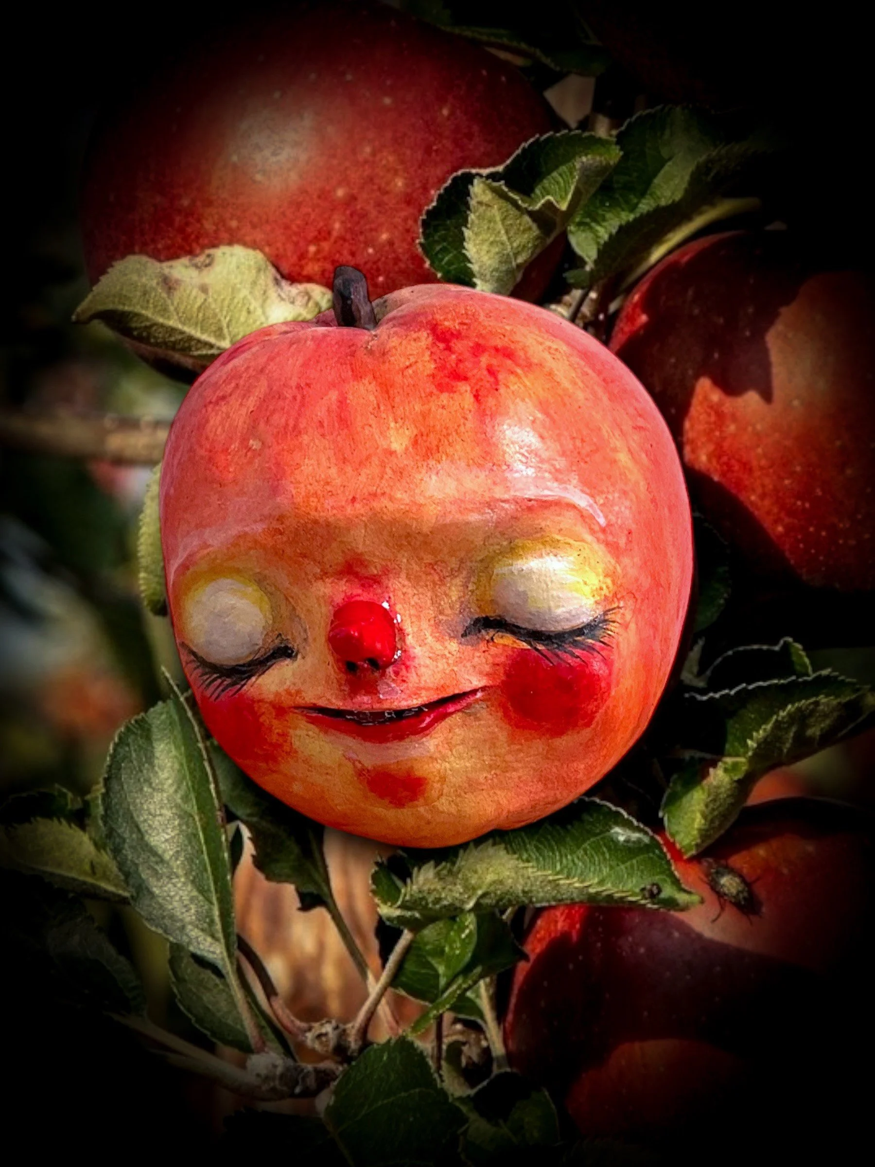 15.jpg