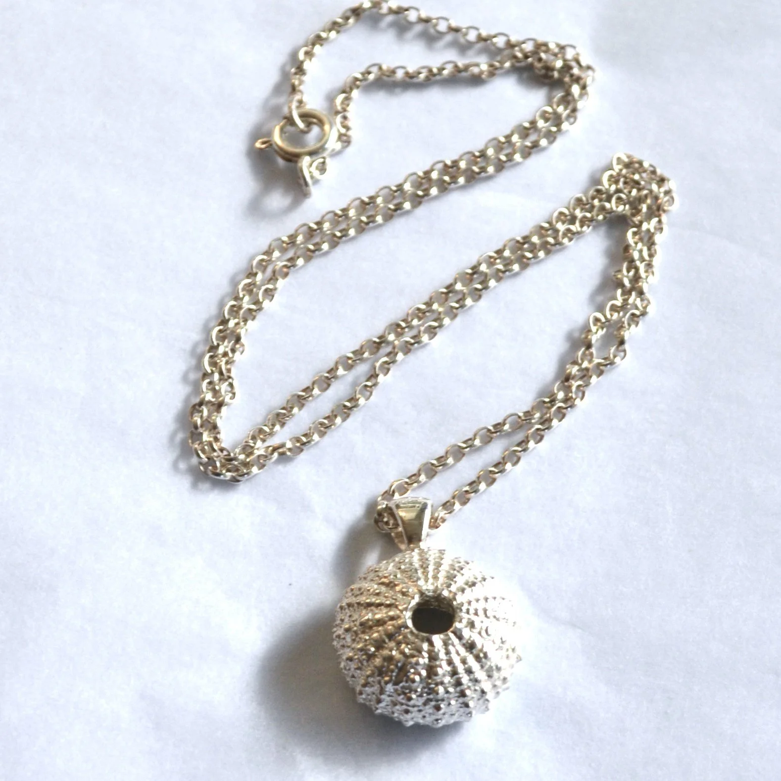 sea urchin p 2.jpg