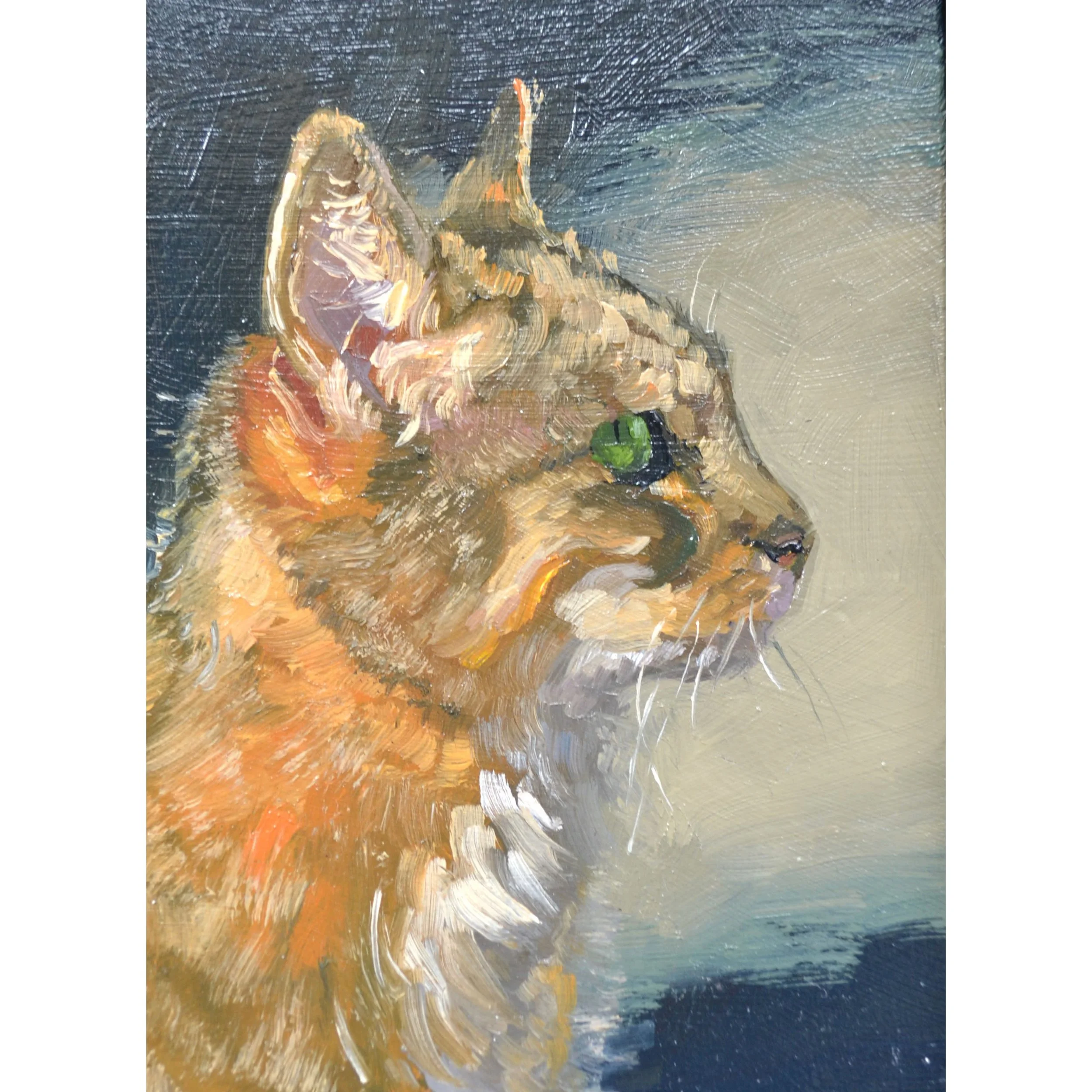 tabby 3.jpg
