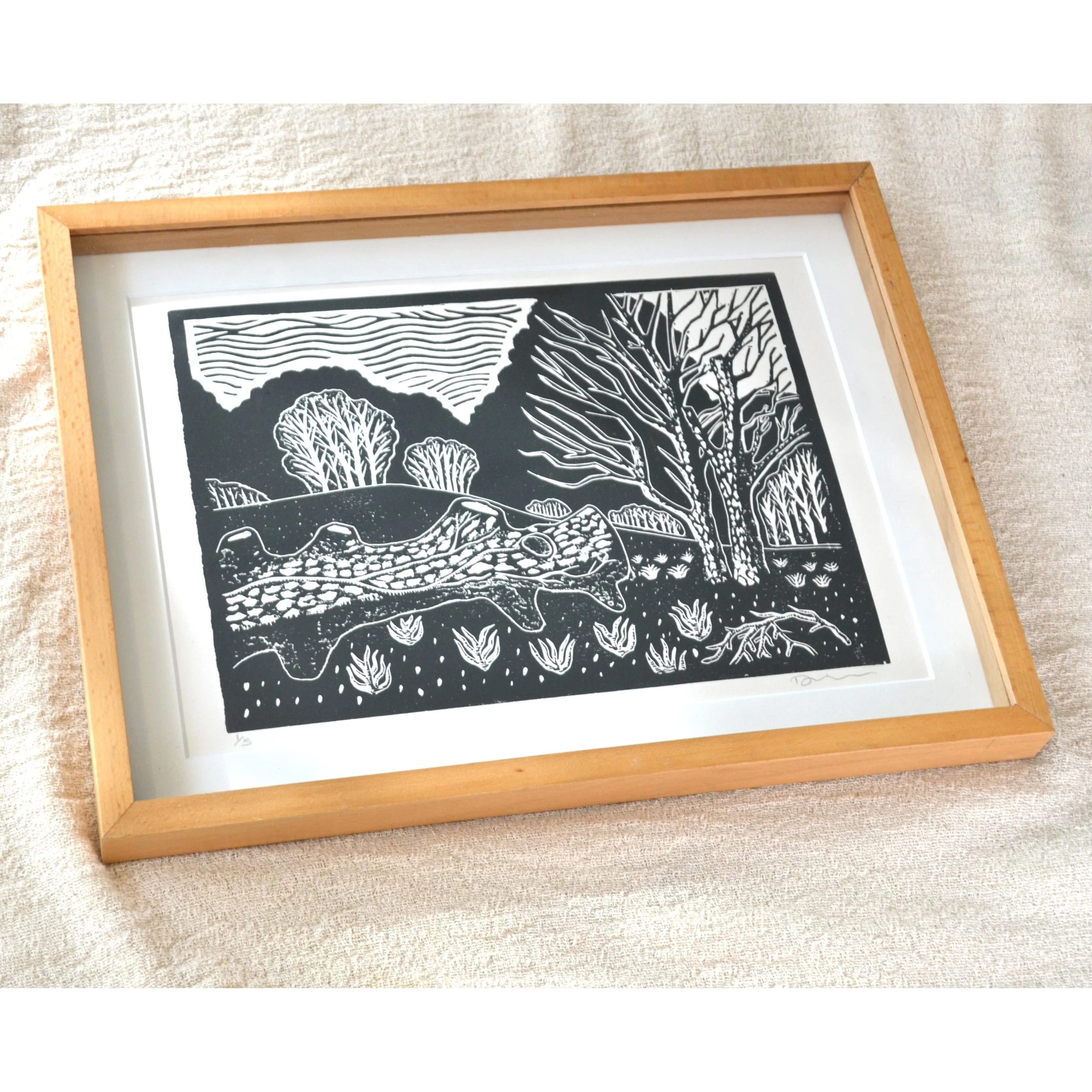 fallen tree 2 DSK.JPG