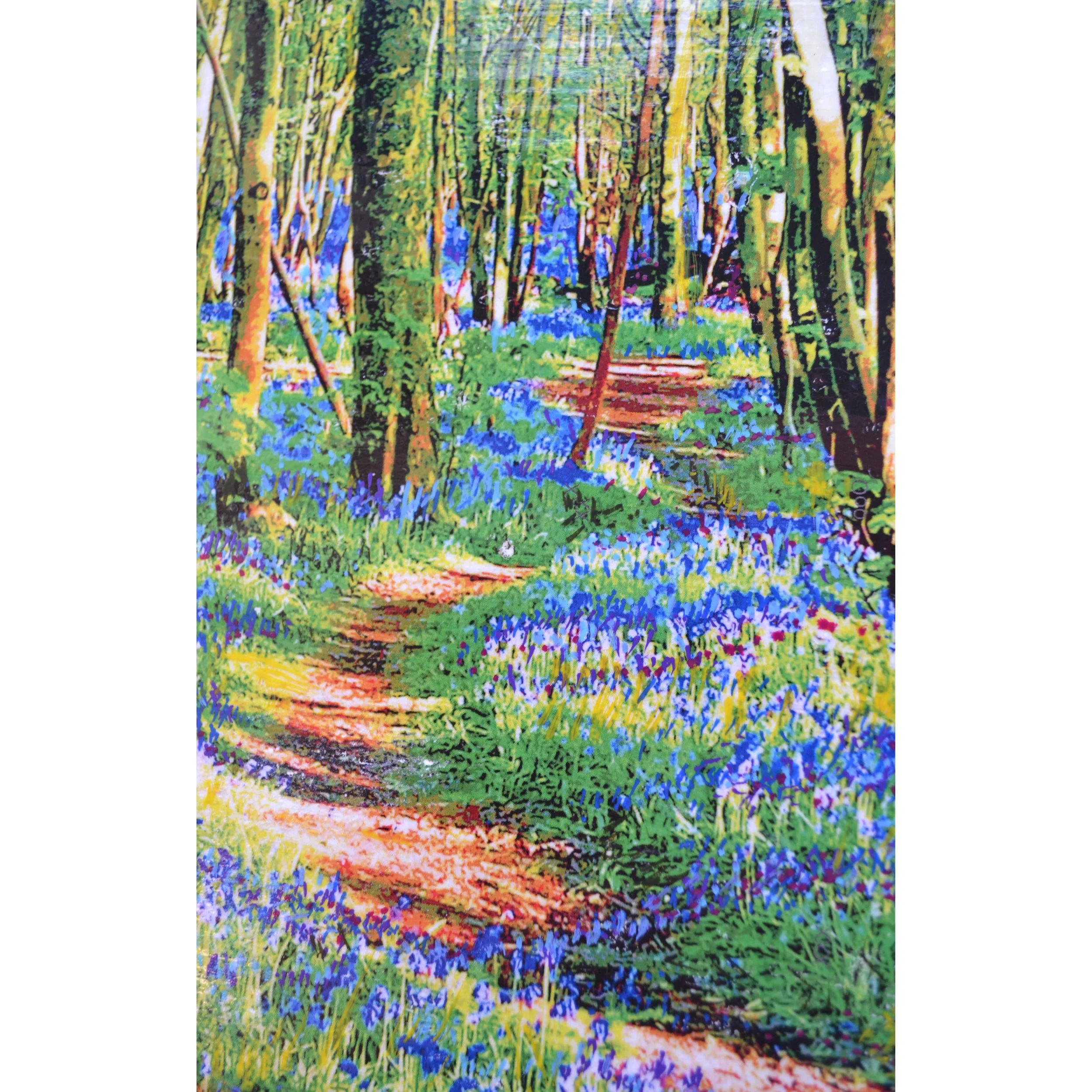 bluebell path1.jpg