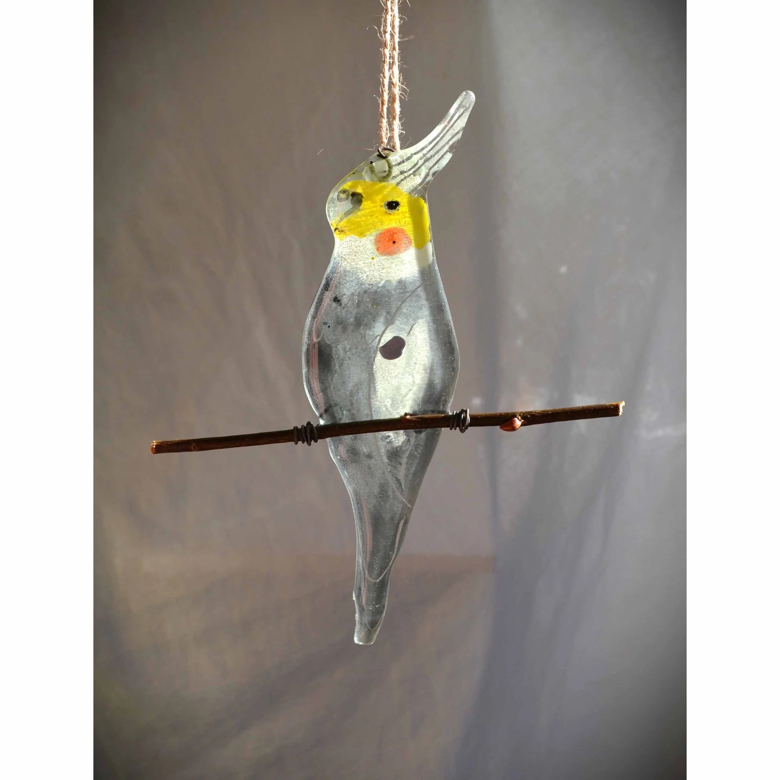 cockatiel 3.jpg
