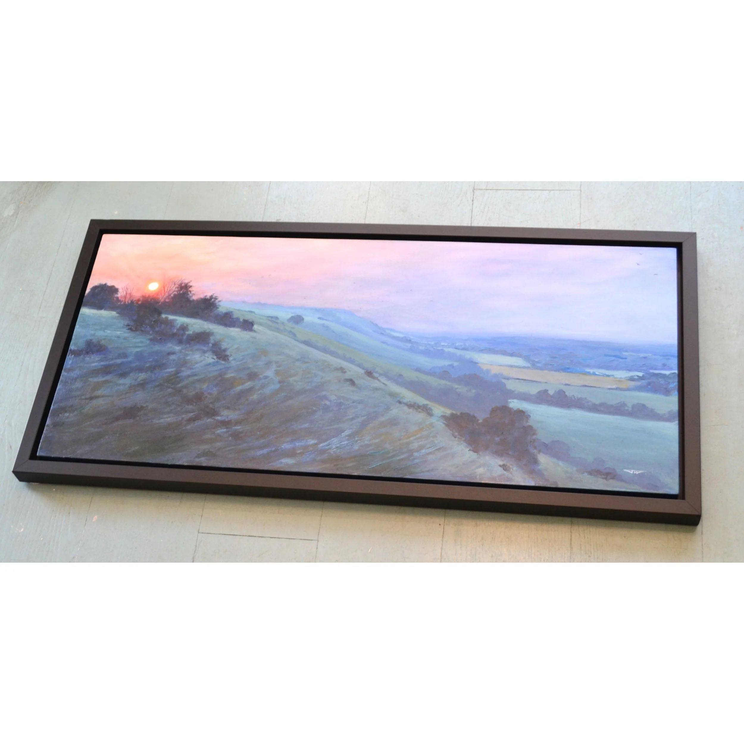 nothing but the crows jesse woodward 5.JPG