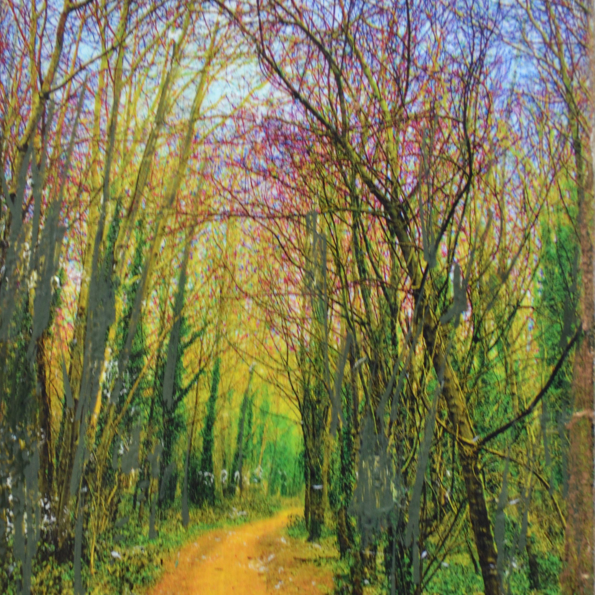 golden path 2.JPG