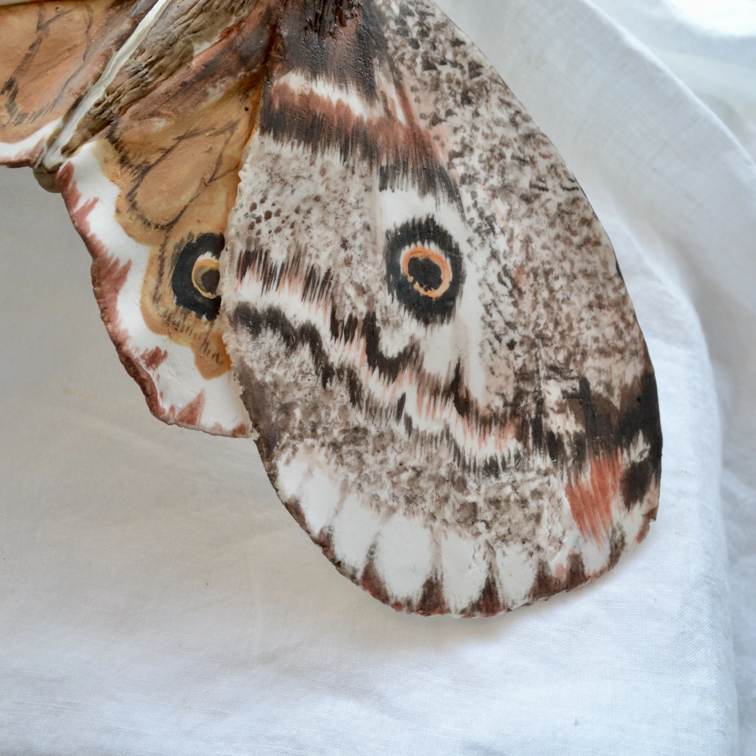 DSC_0179.JPG