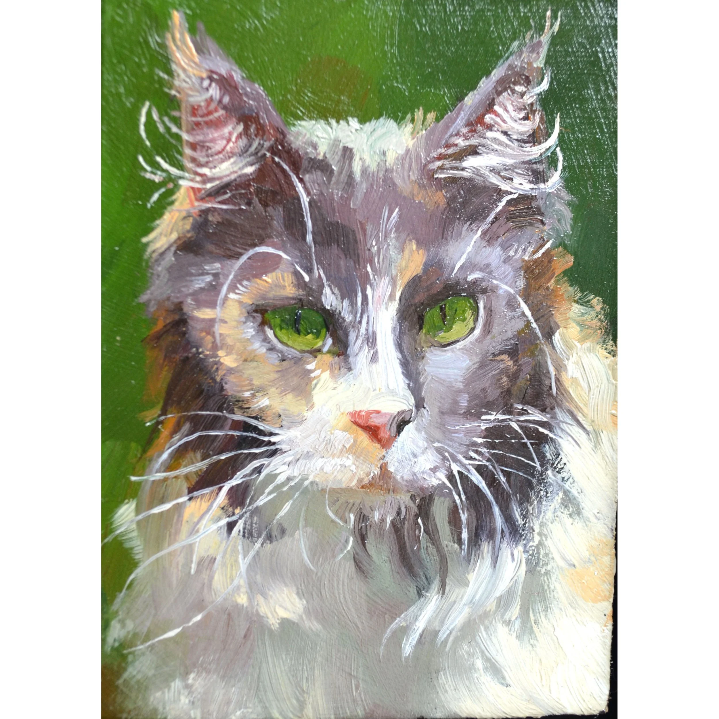 green eyed cat 1.jpg