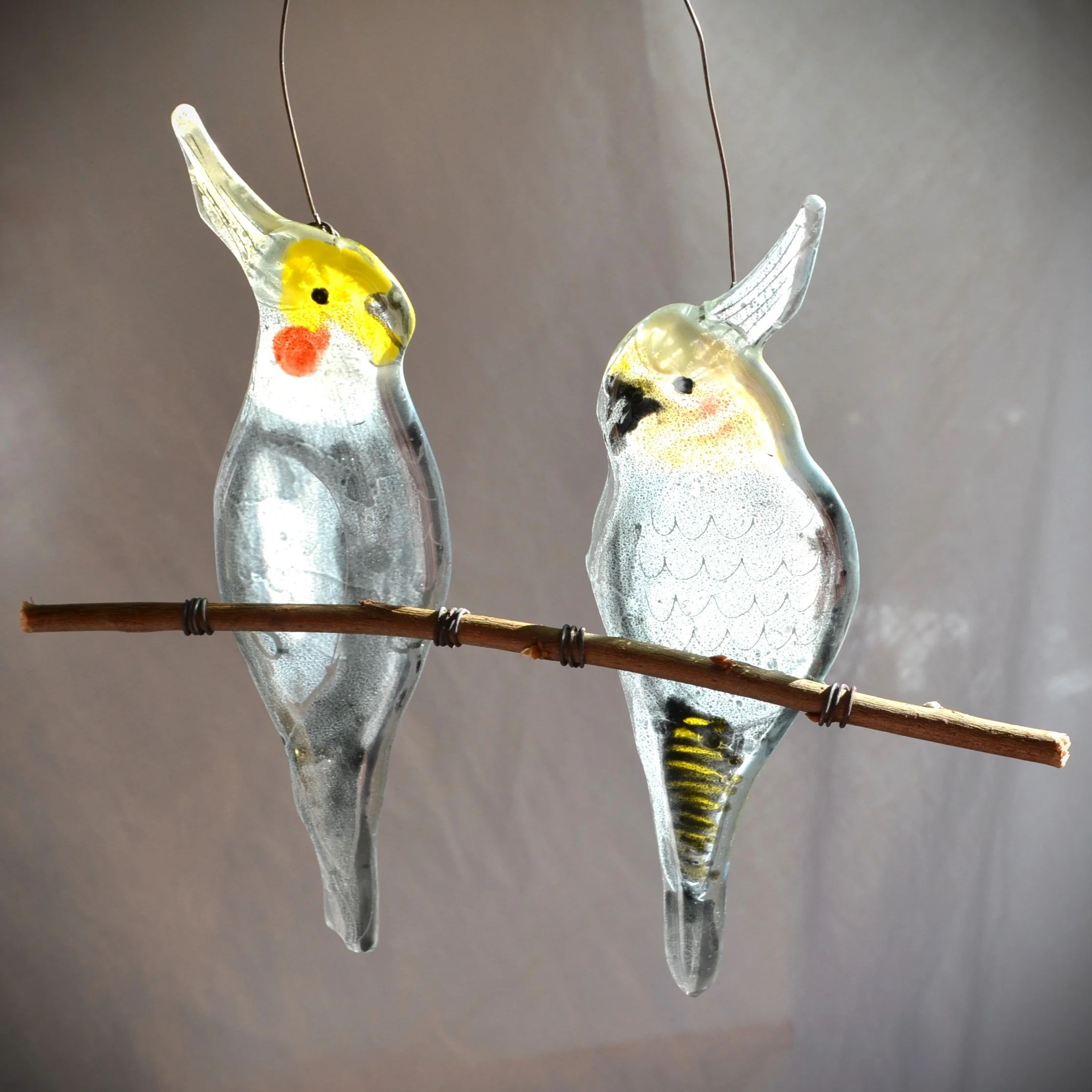 cockatiels 1.jpg