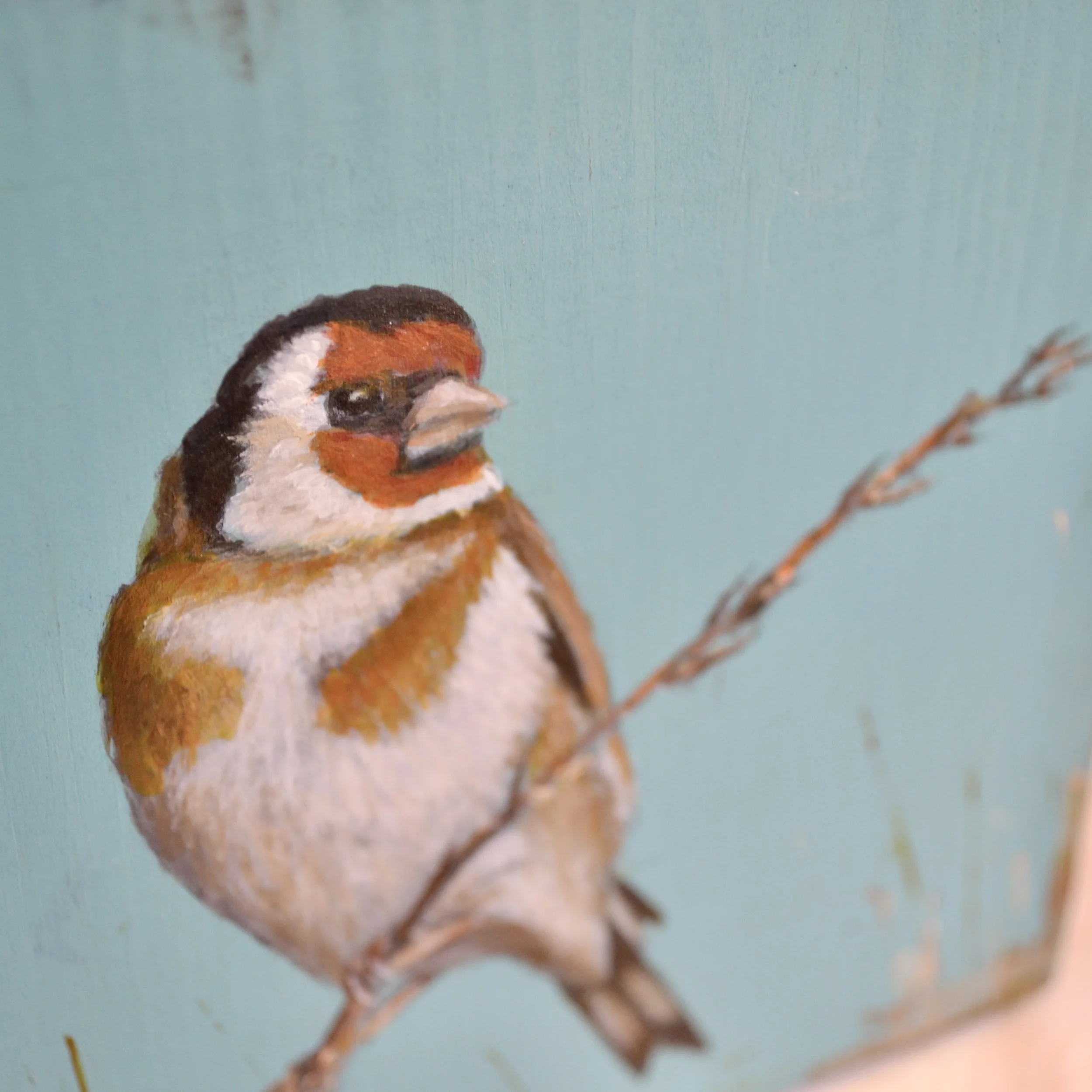 DSC_0454.JPG
