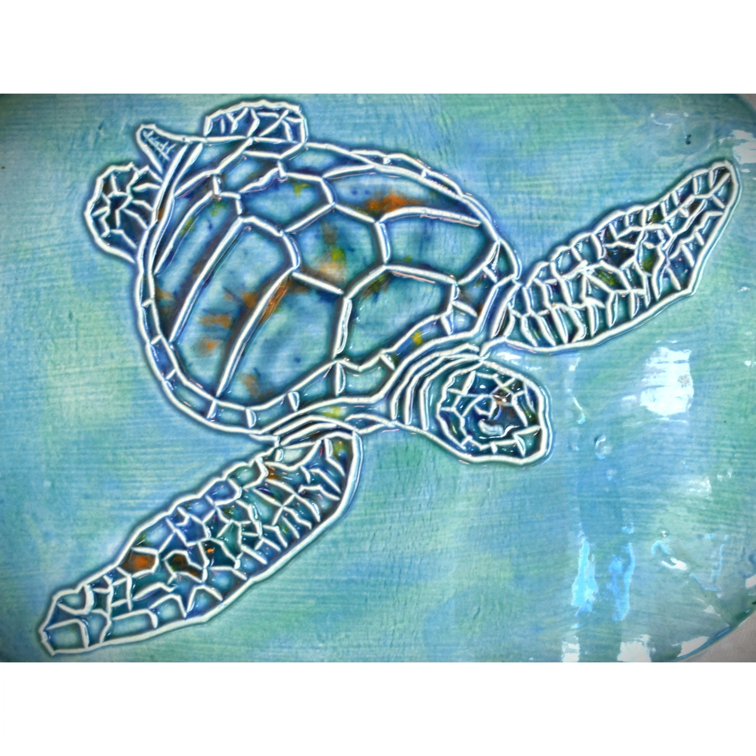 turtle 3.jpg