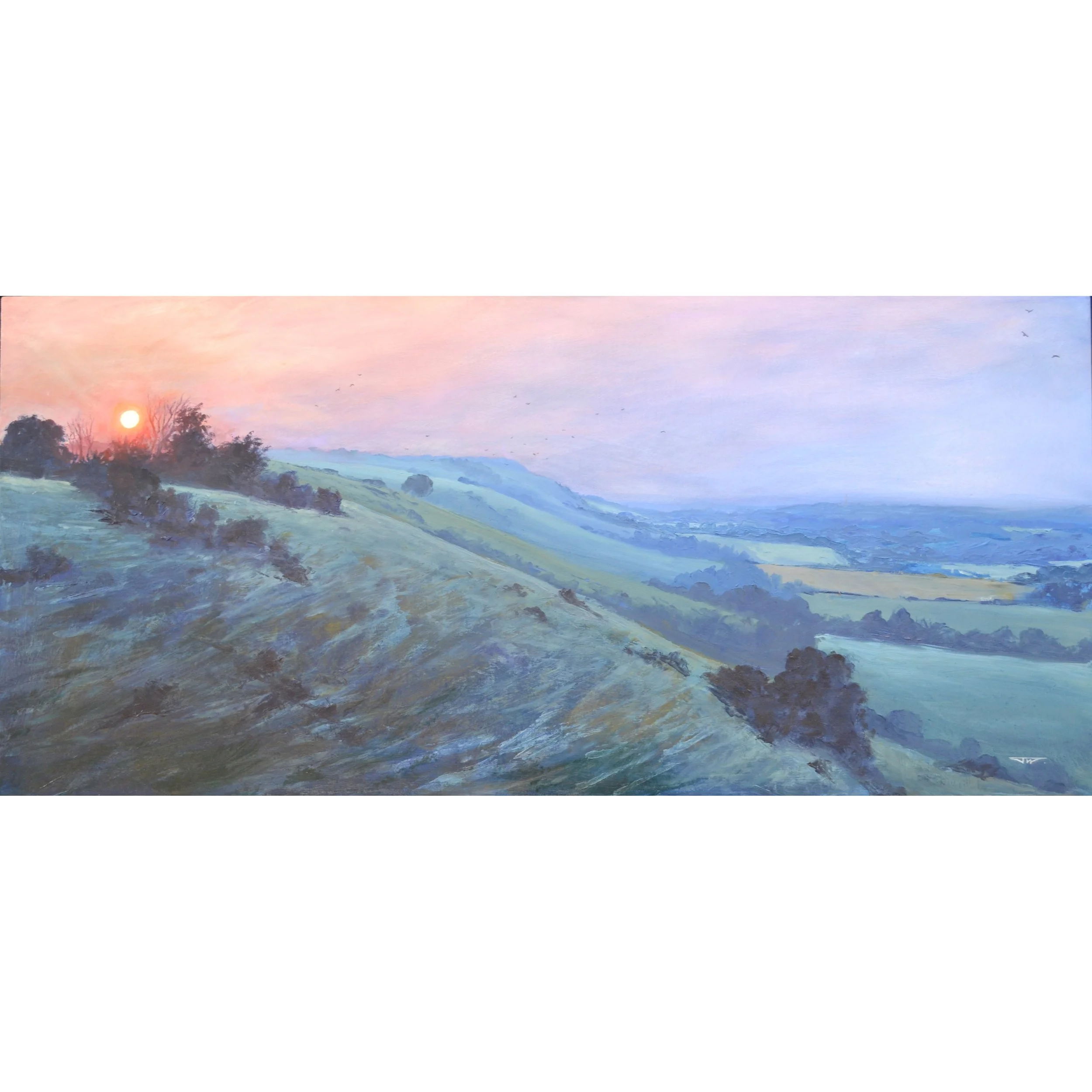 nothing but the crows jesse woodward 2.JPG