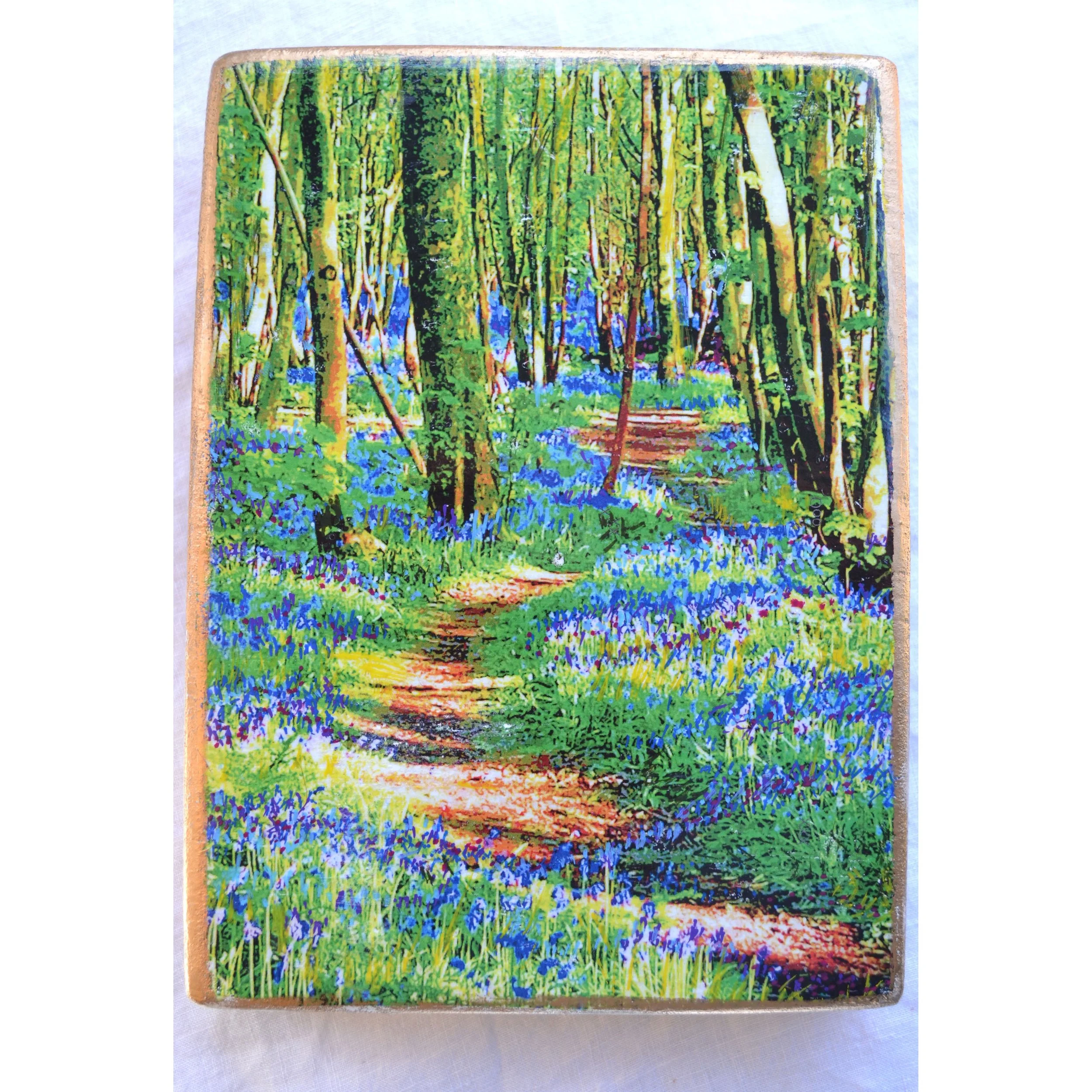 bluebell path2.jpg
