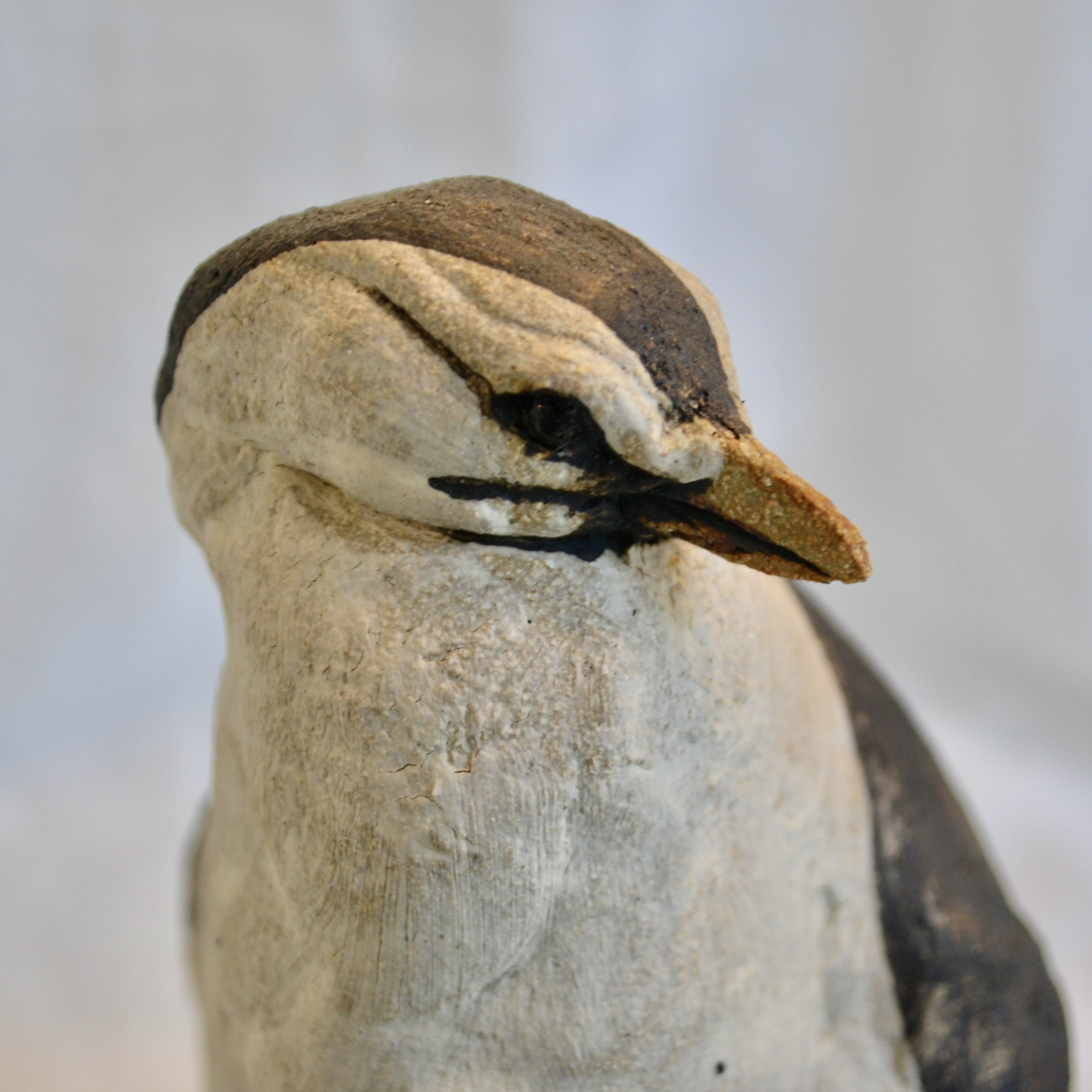 DSC_0392.JPG