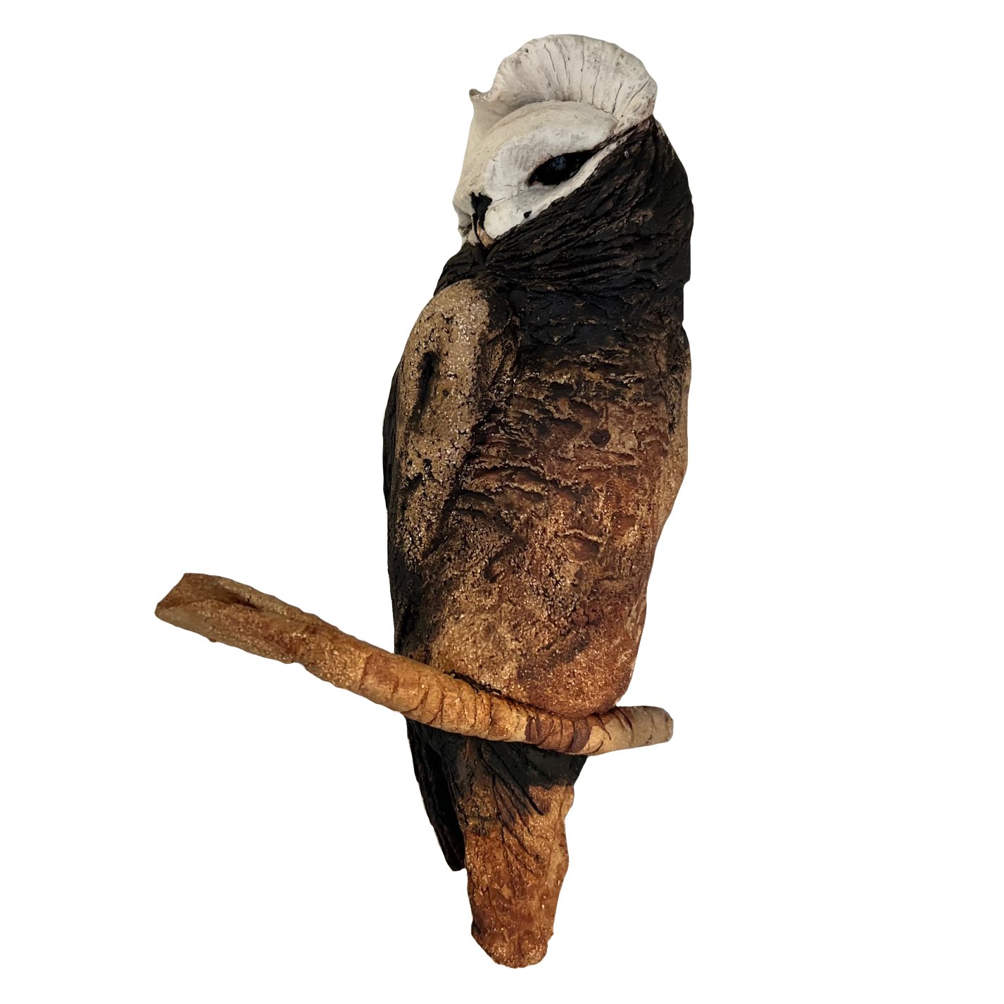 owl3.jpg