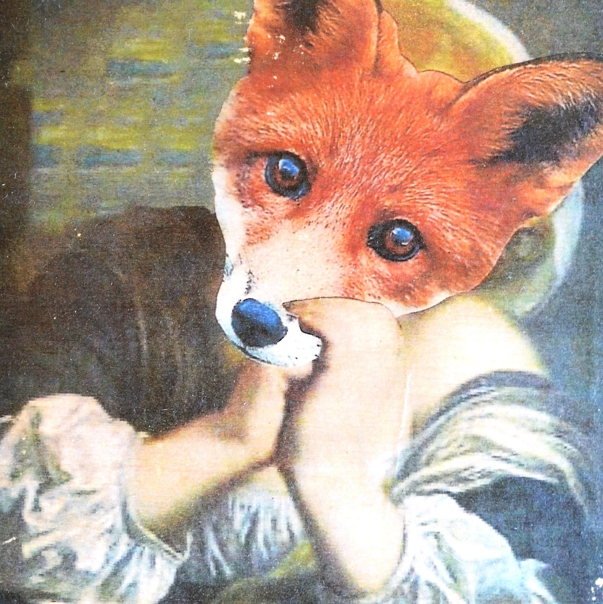 dreamy fox girl 2 (2).JPG