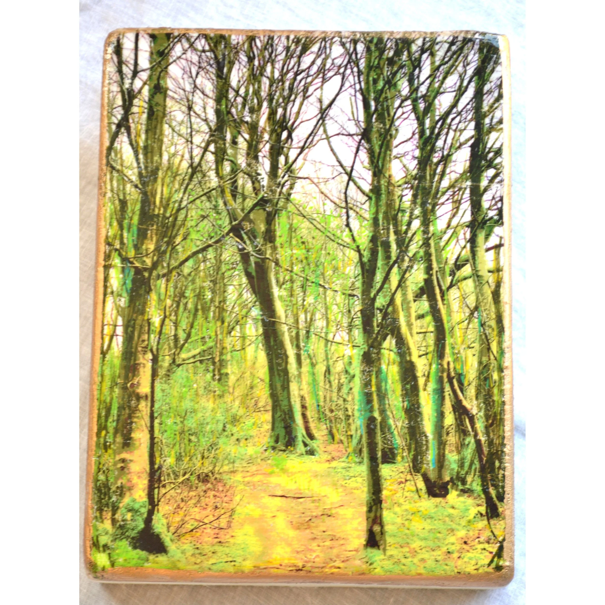 spring path 1.JPG