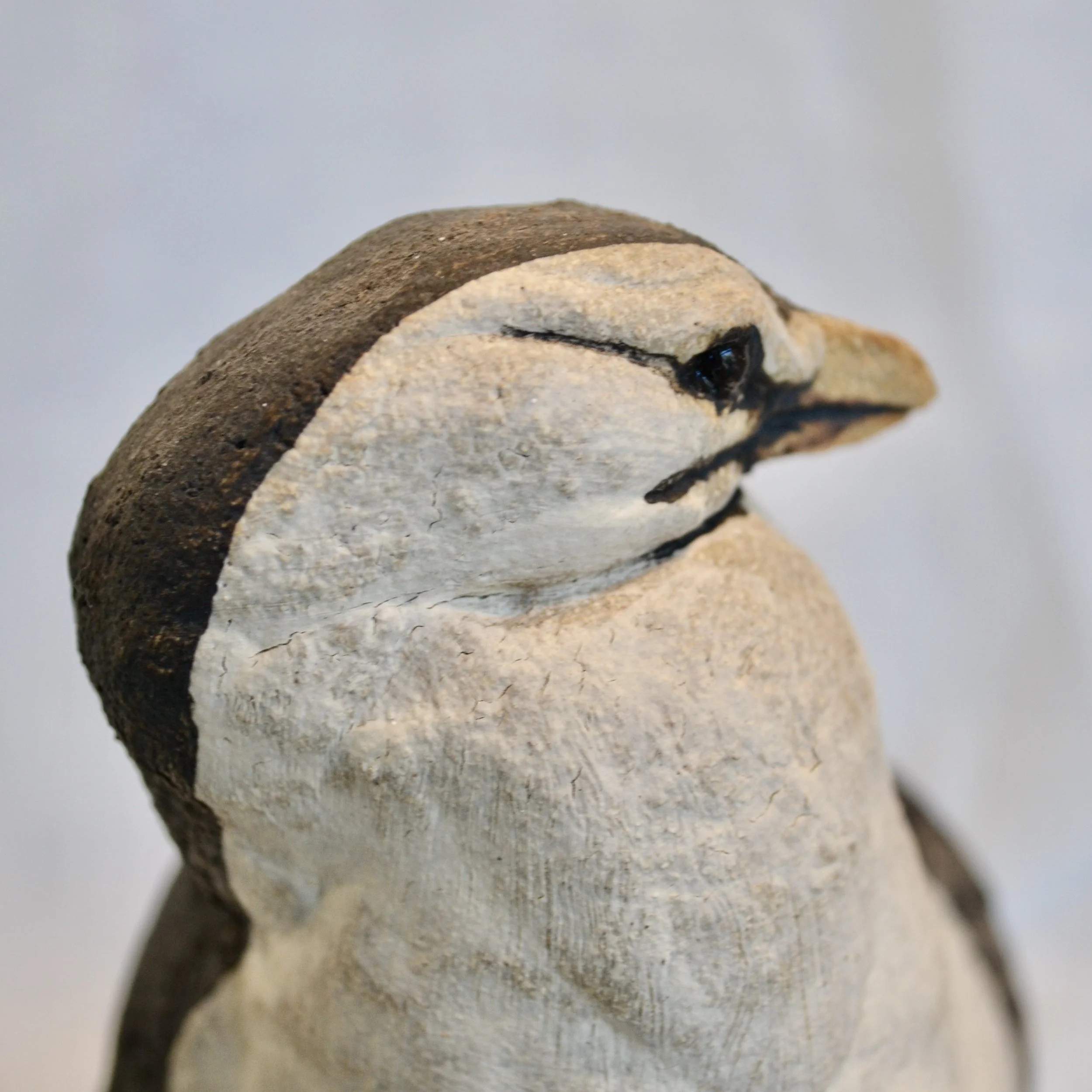 DSC_0402.JPG