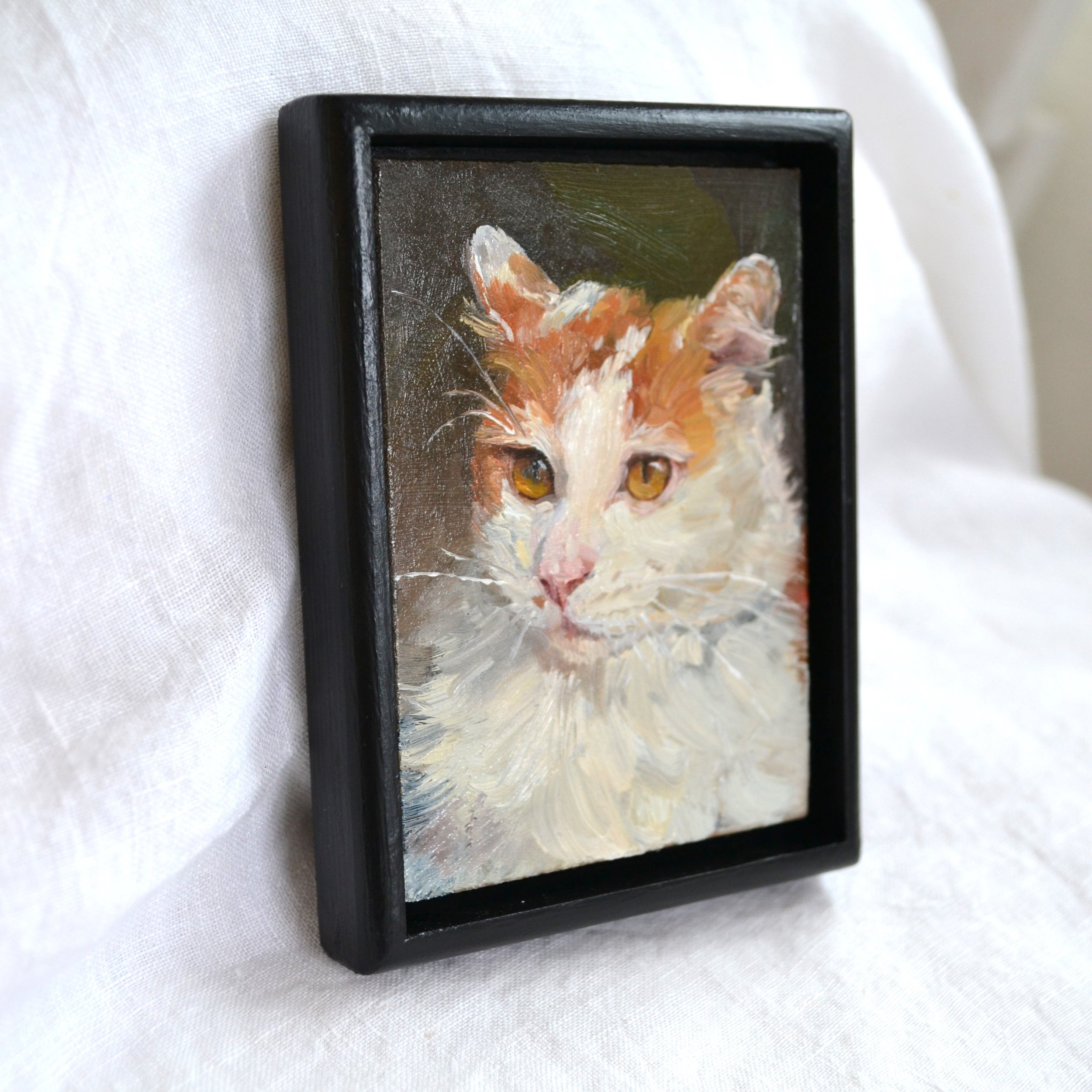 cream cat 2.jpg