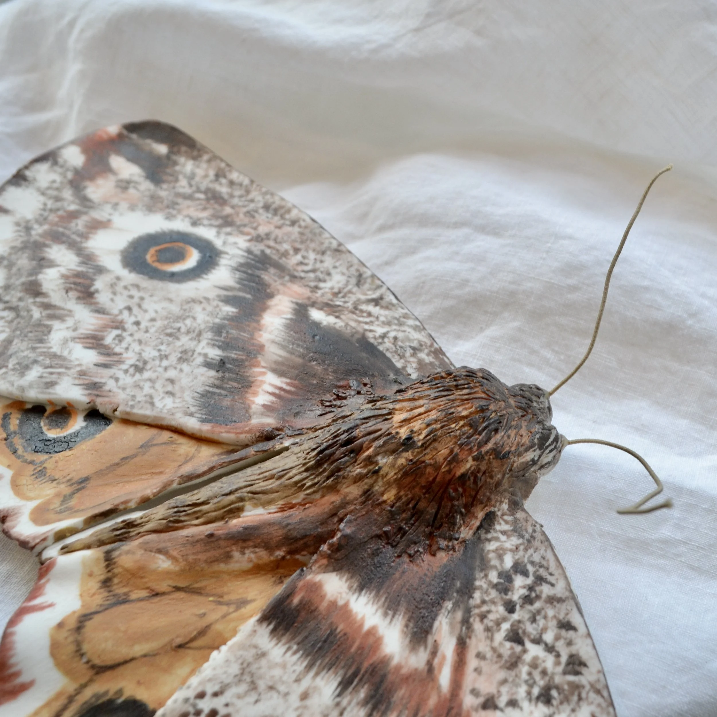 DSC_0173.JPG