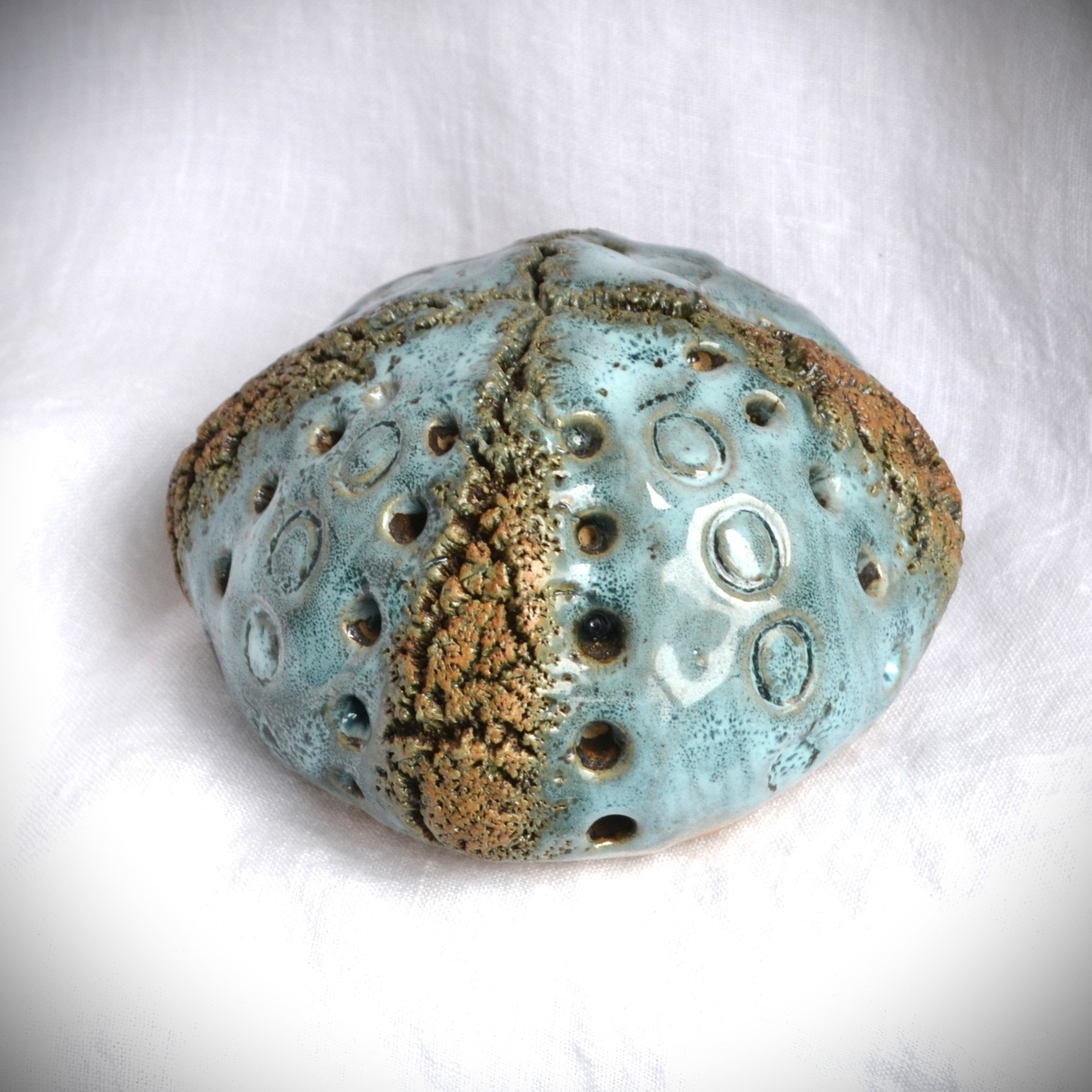sea urchin turq 1.jpg