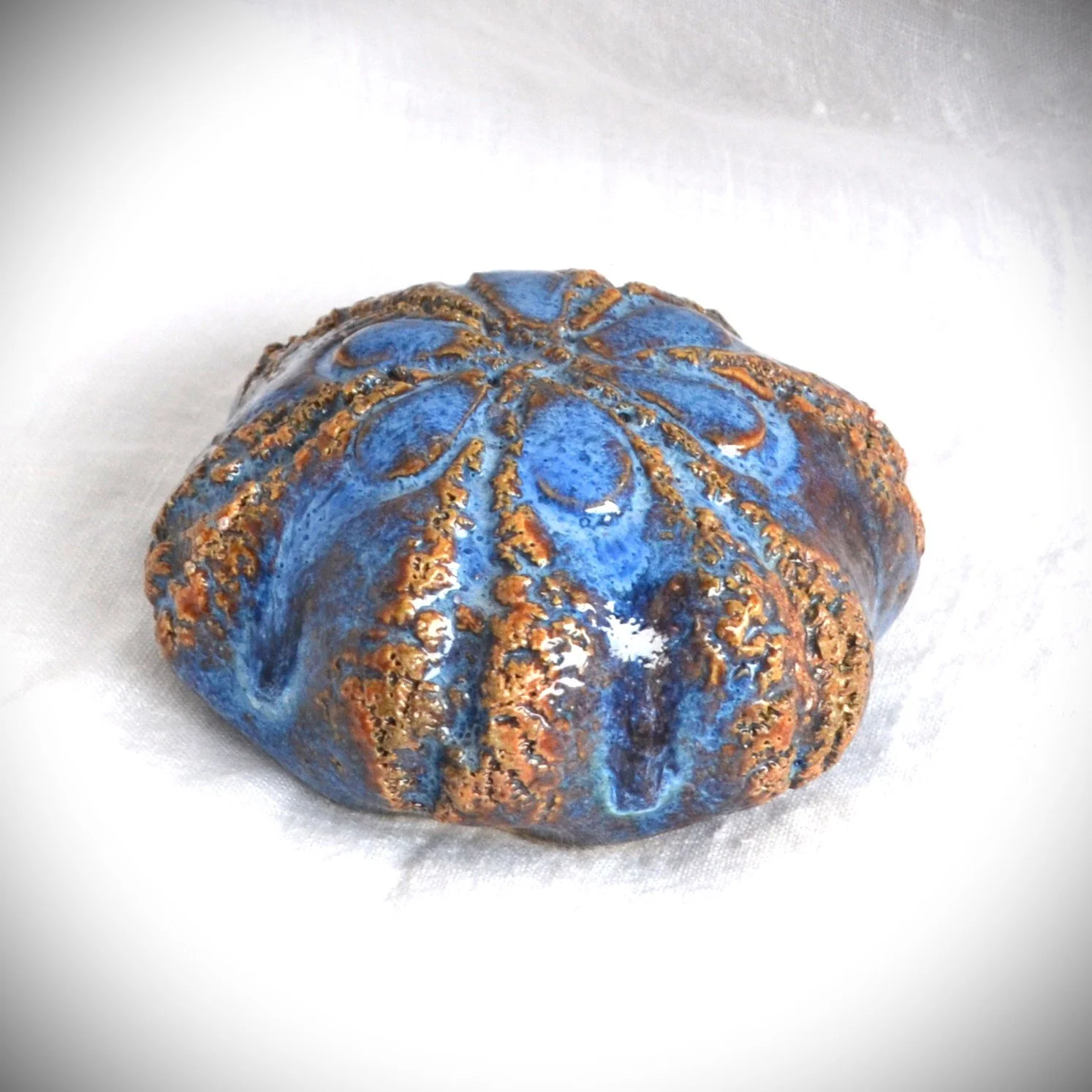 sea urchin blue 3.jpg