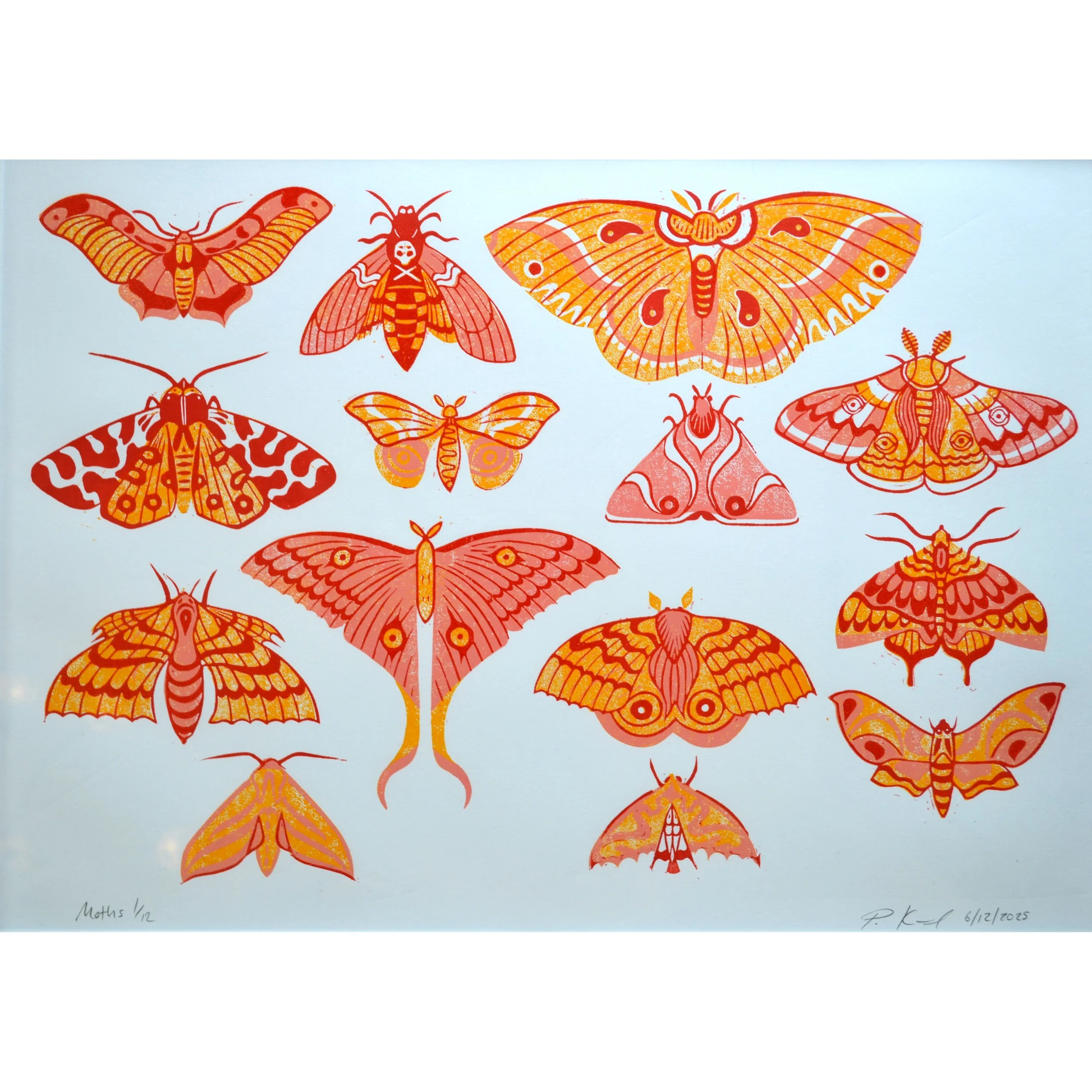 moths 2 PKY.JPG