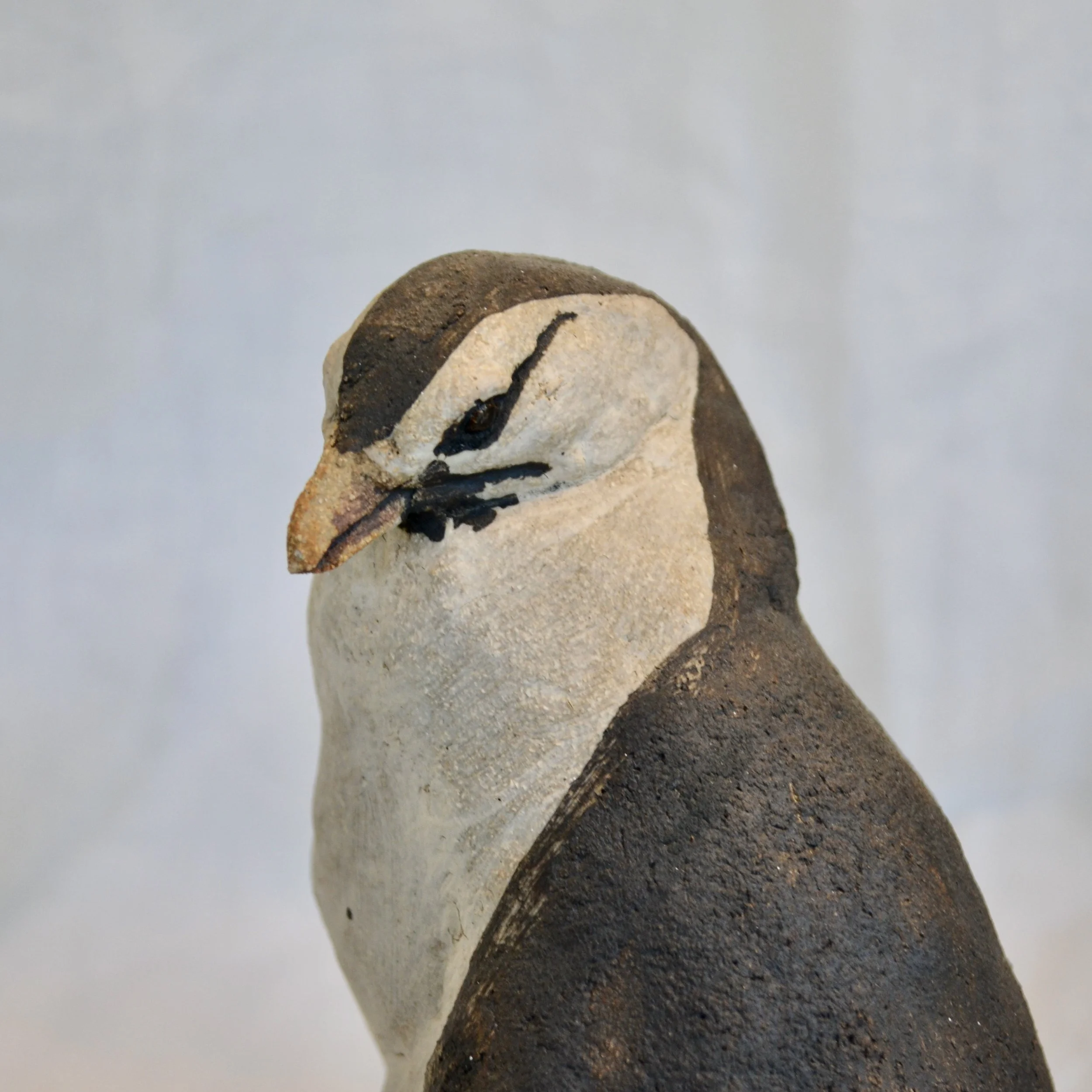 DSC_0393.JPG