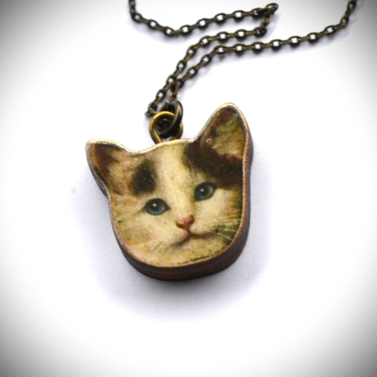 kitty 3.jpg