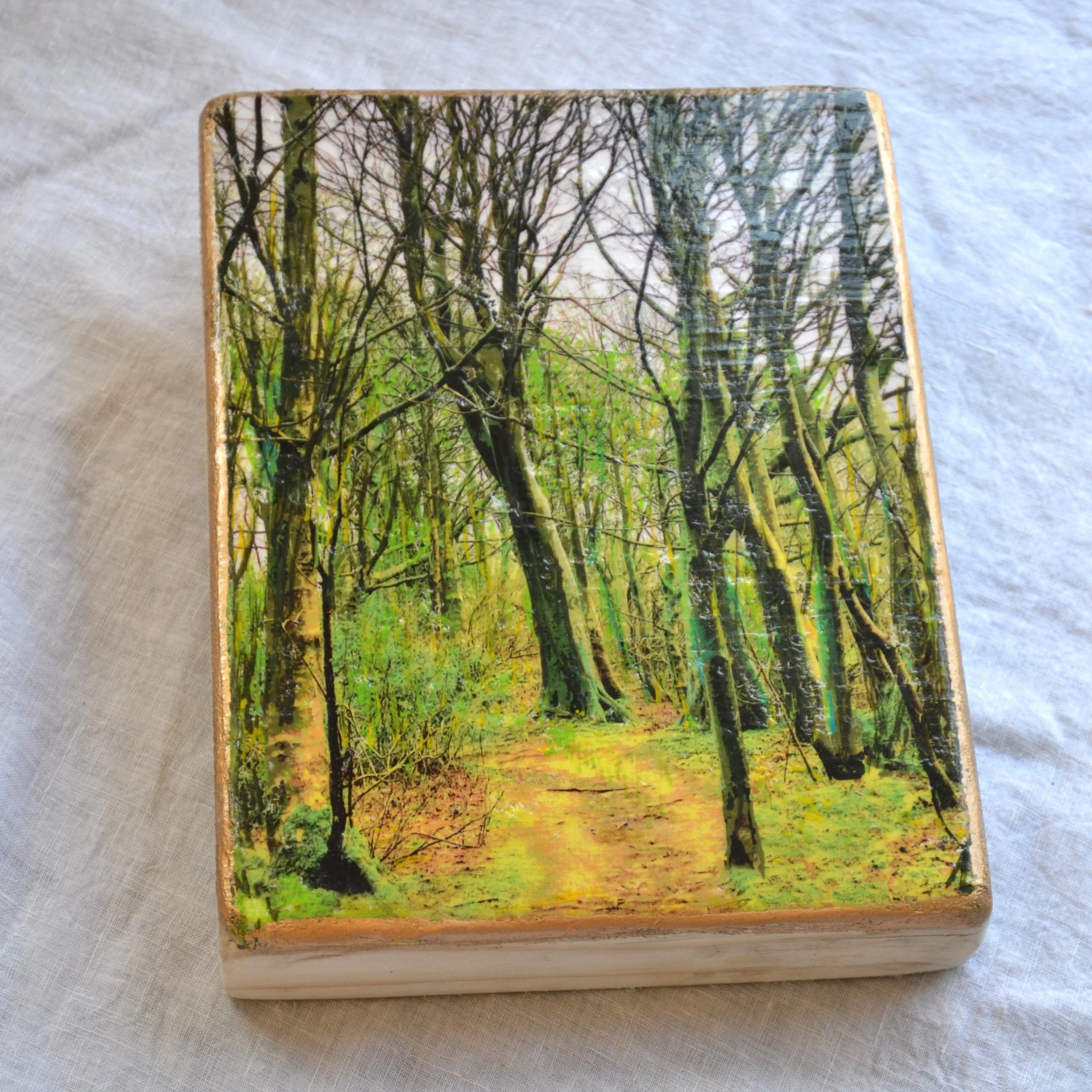 spring path 2.JPG