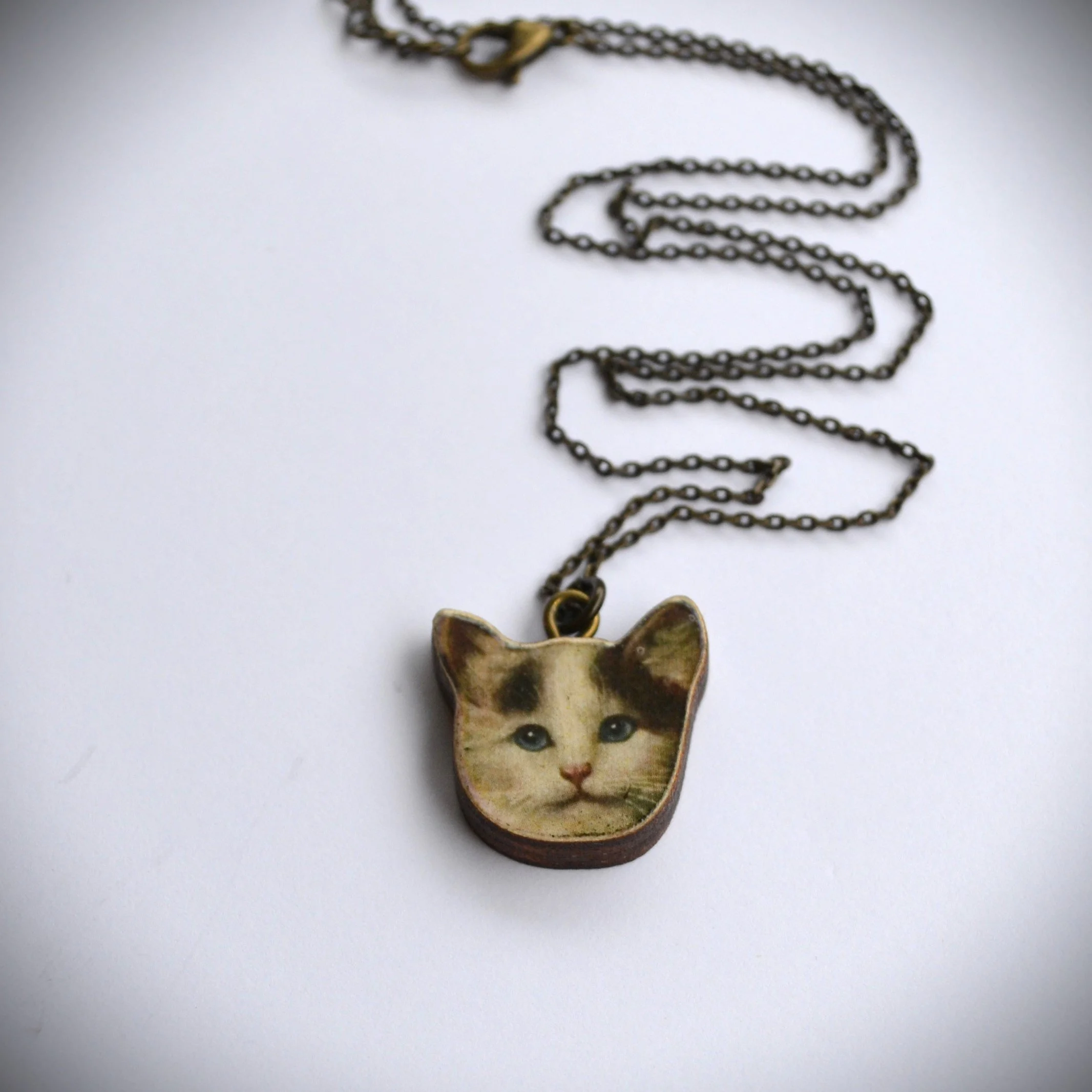 kitty 2.jpg