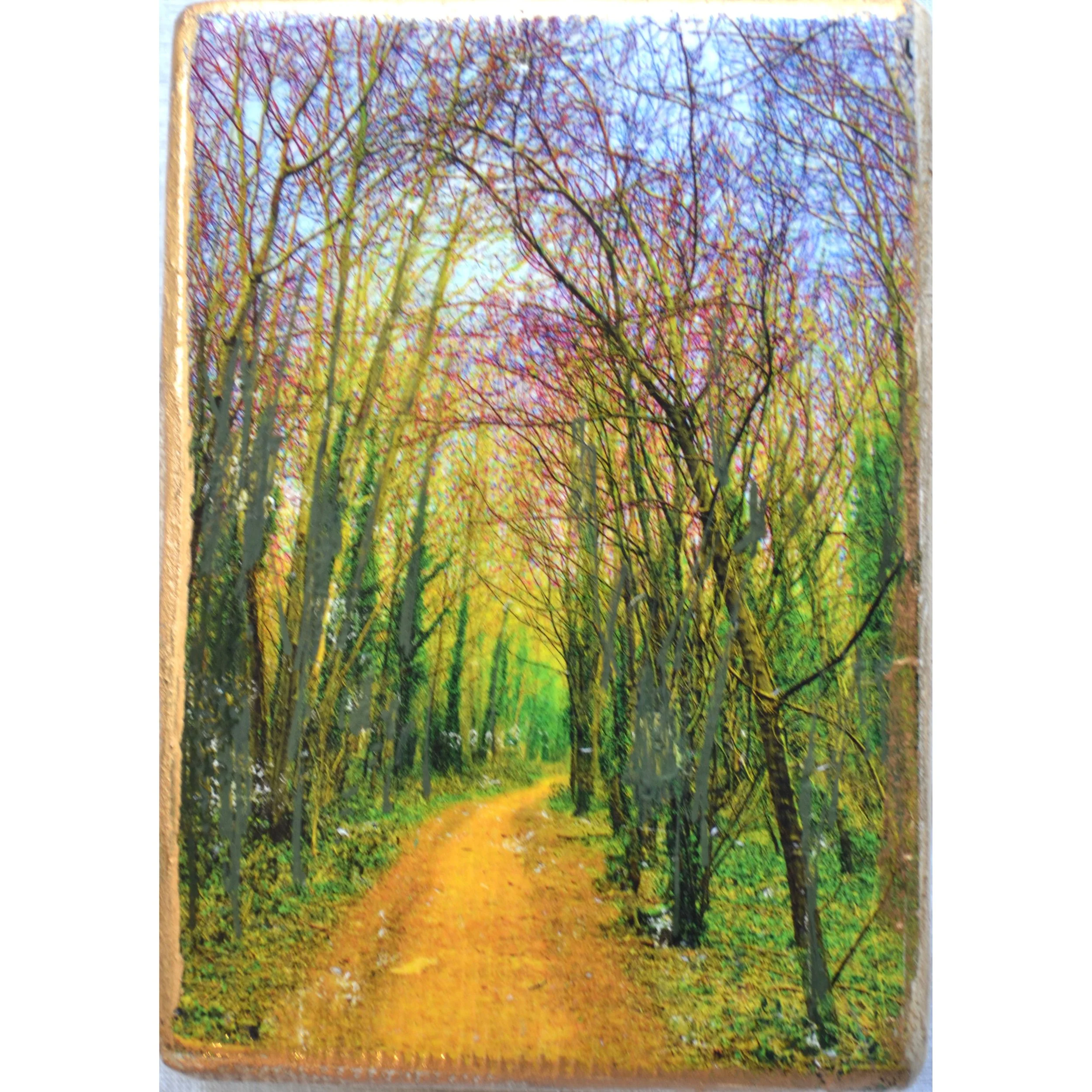 golden path 3.JPG