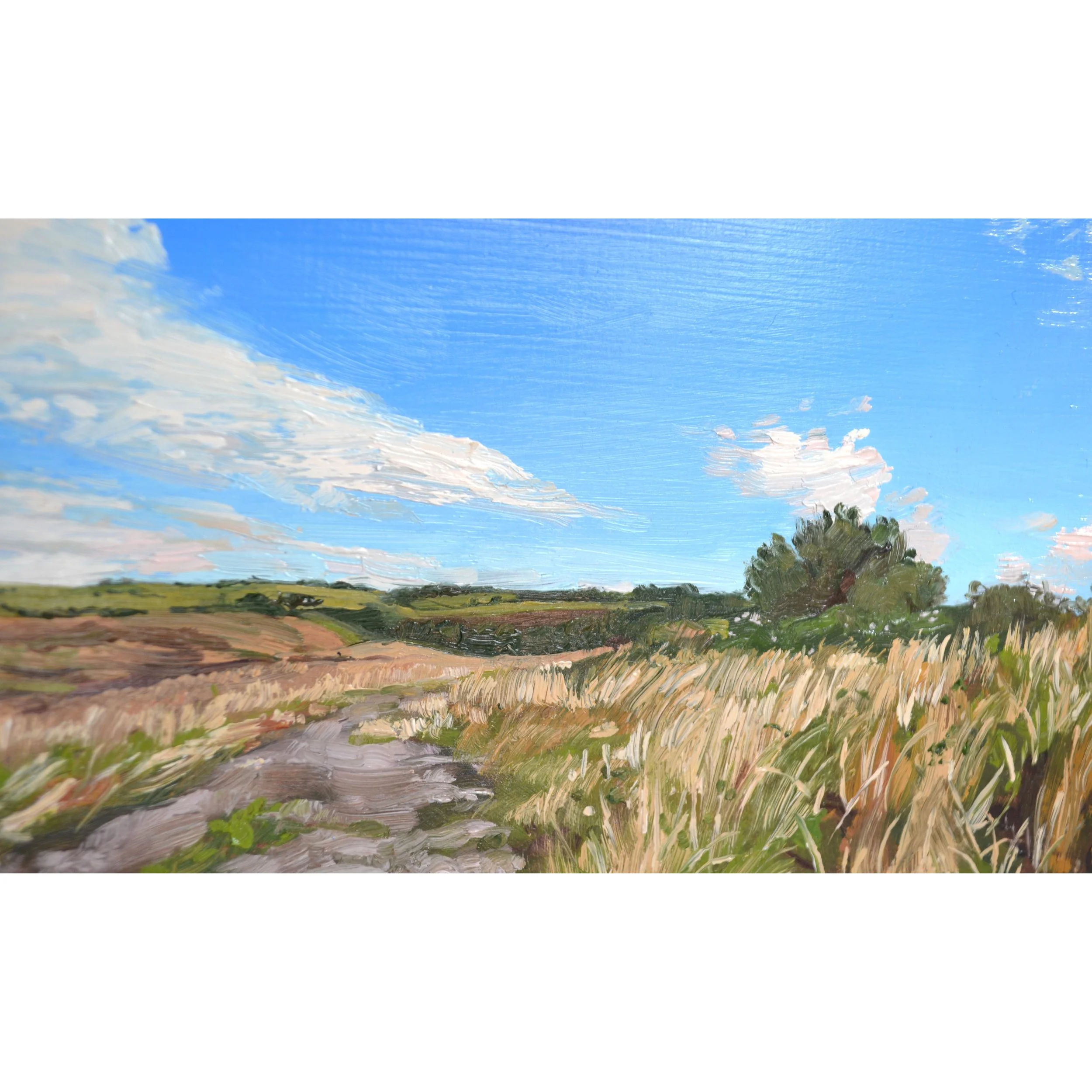 south downs 3.jpg