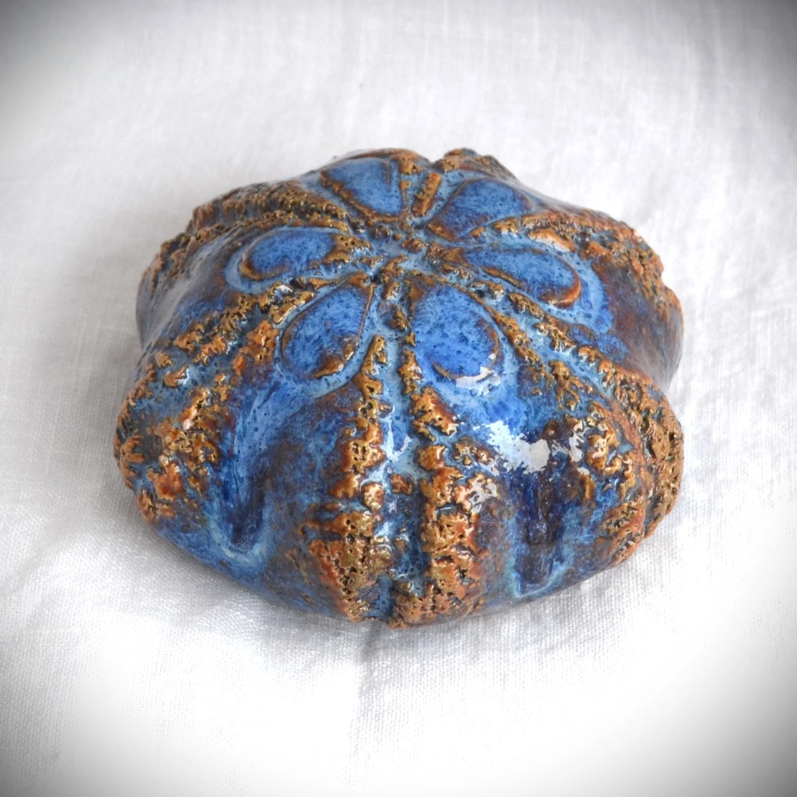 sea urchin blue 1.jpg