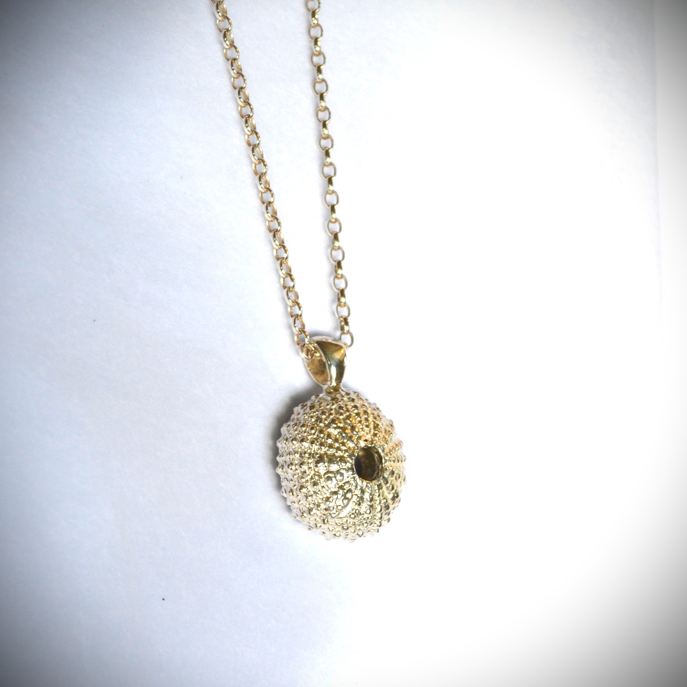 sea urchin p 1.jpg