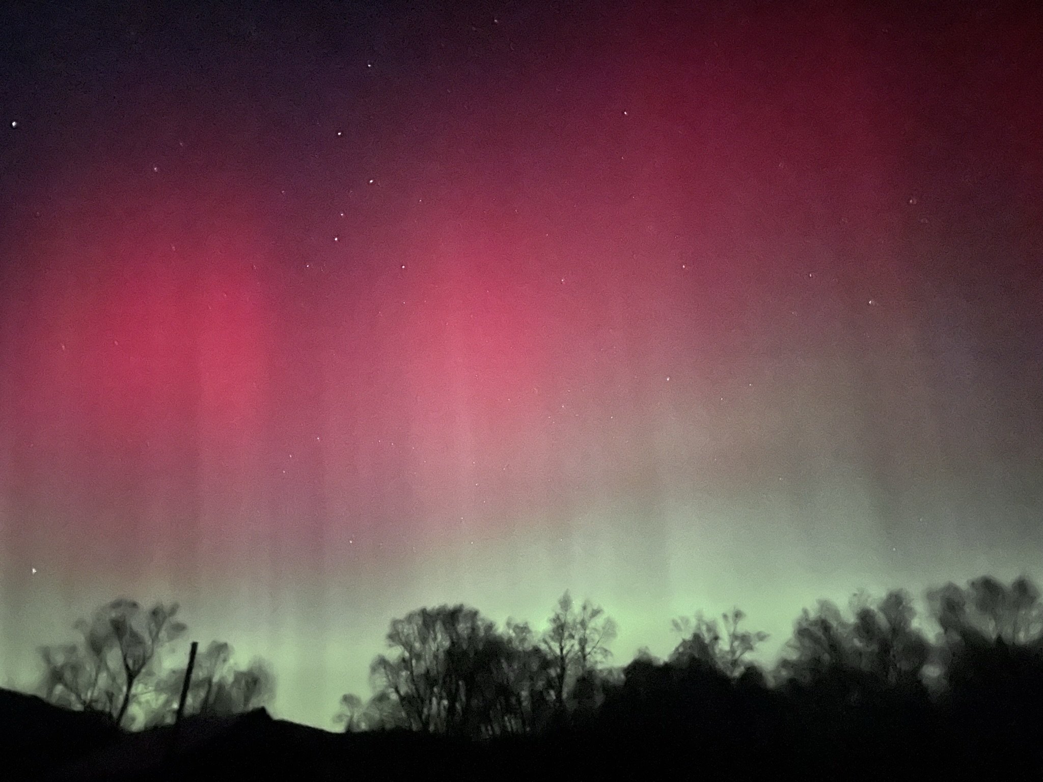 BethGarnerArt_AurorainCairngorms.jpeg