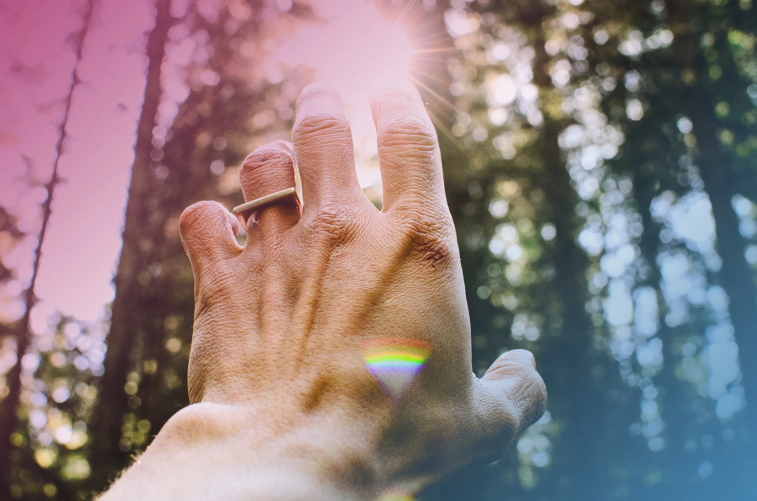 Learn to Lead — GovJoy