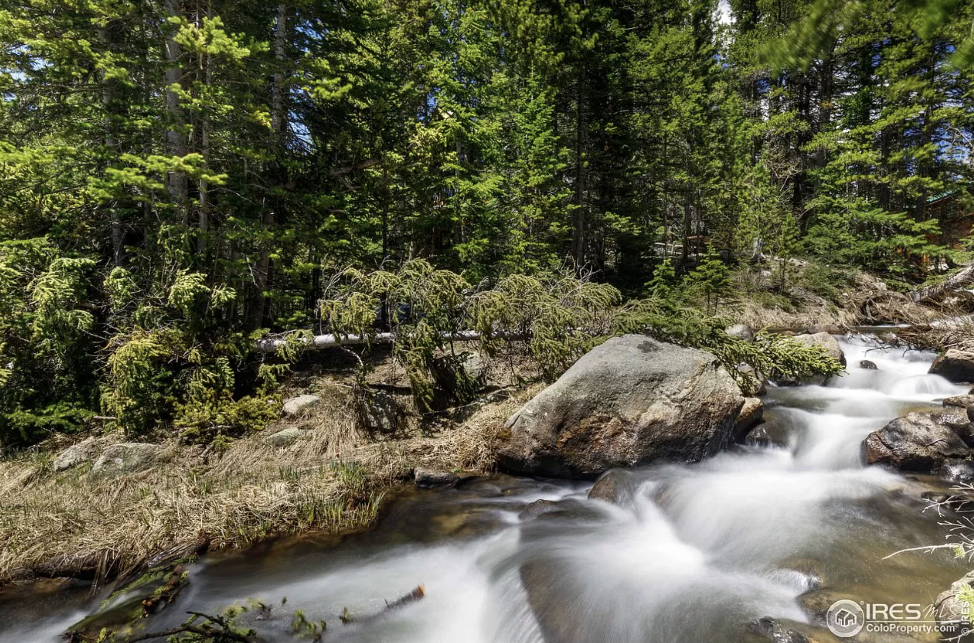 Colorado Mountain Home3.png