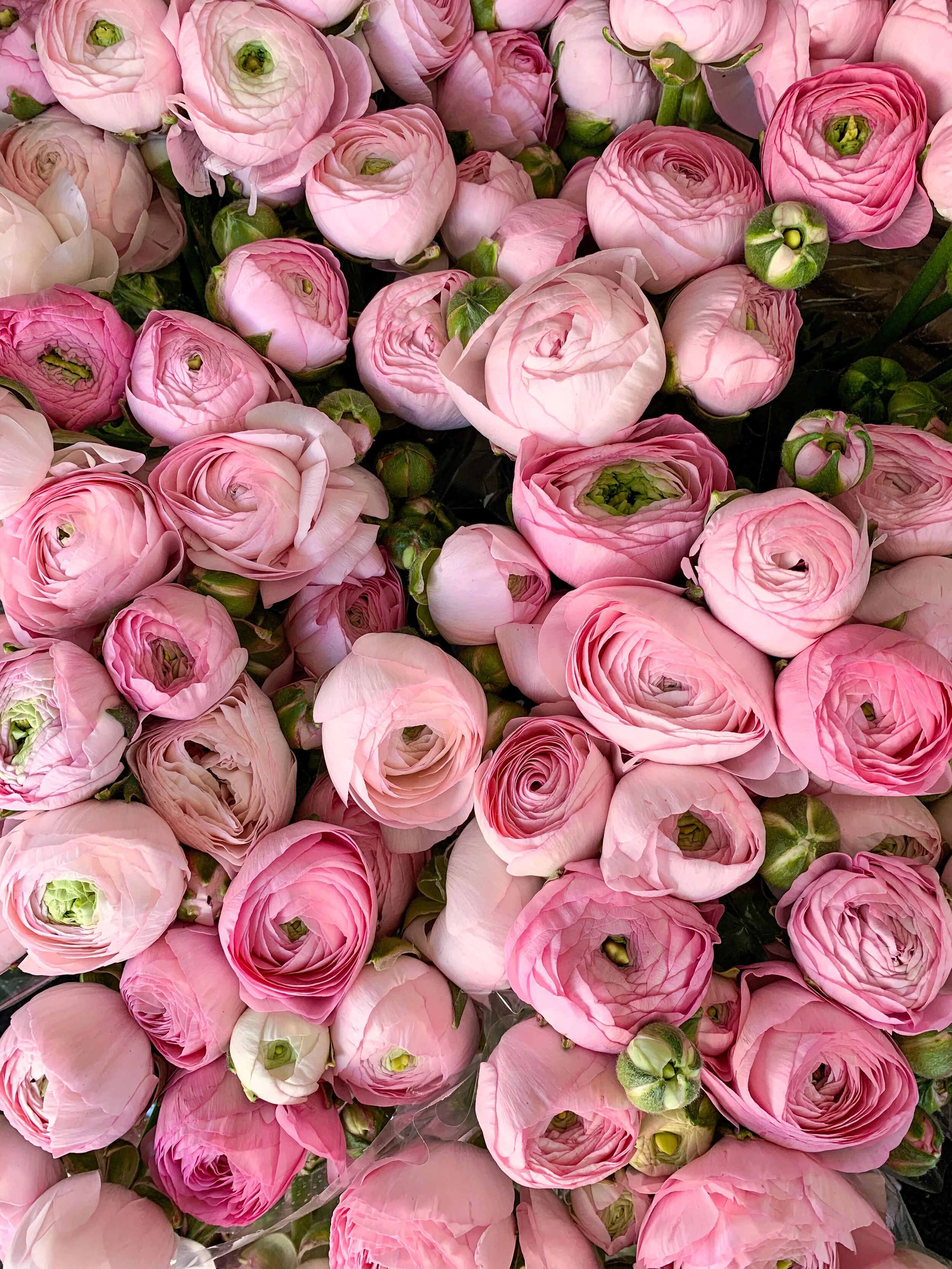 Gulshan London Petals at Bibendum