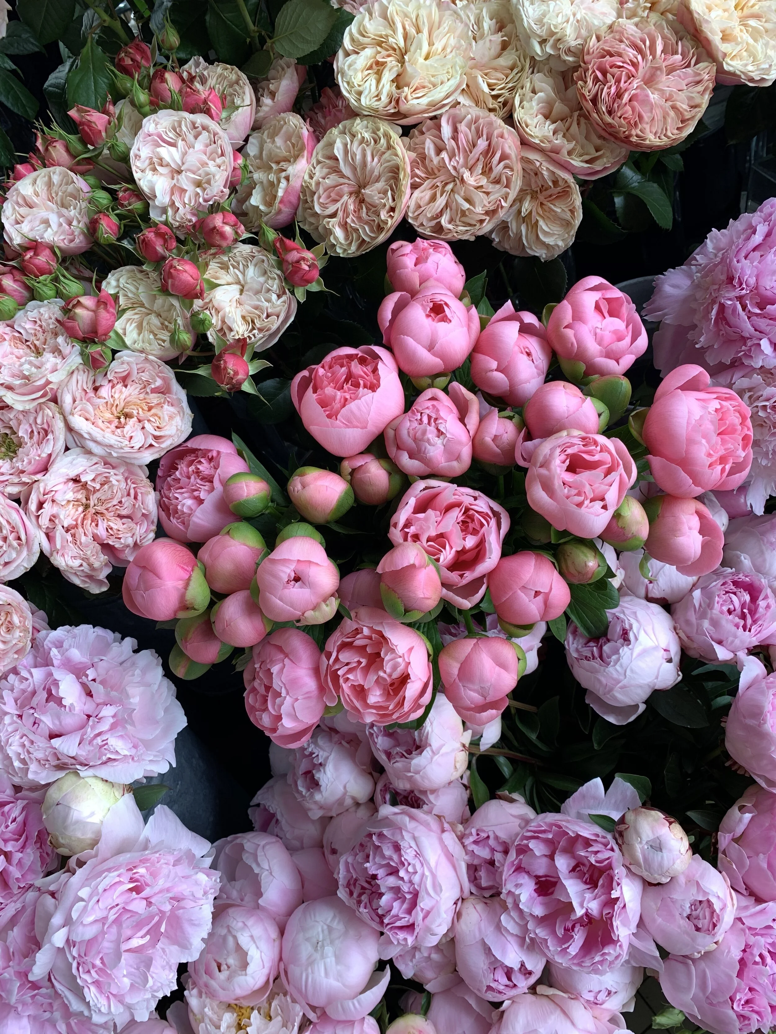 Gulshan London Petals at Bibendum
