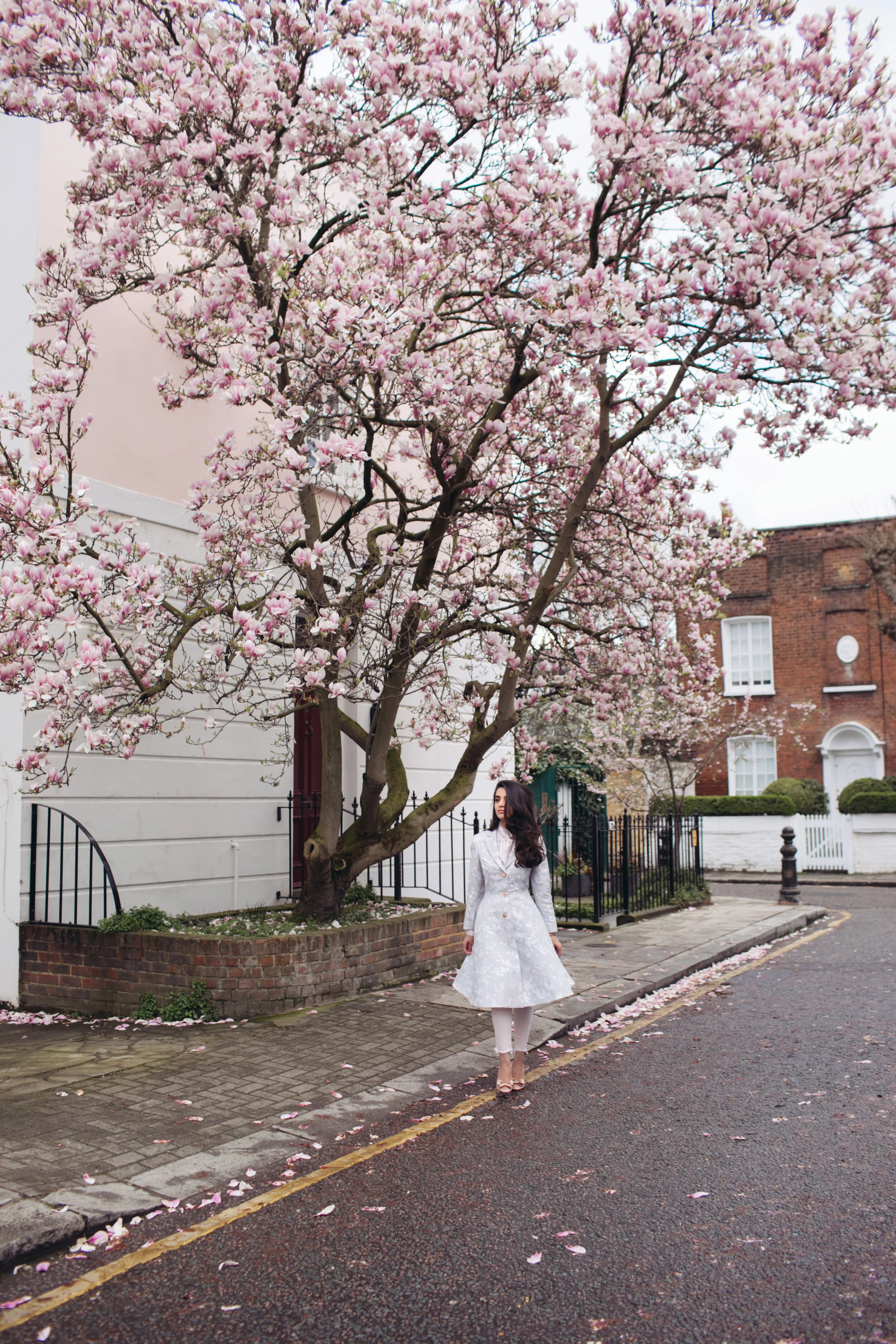 Gulshan London Magnolia Dreams