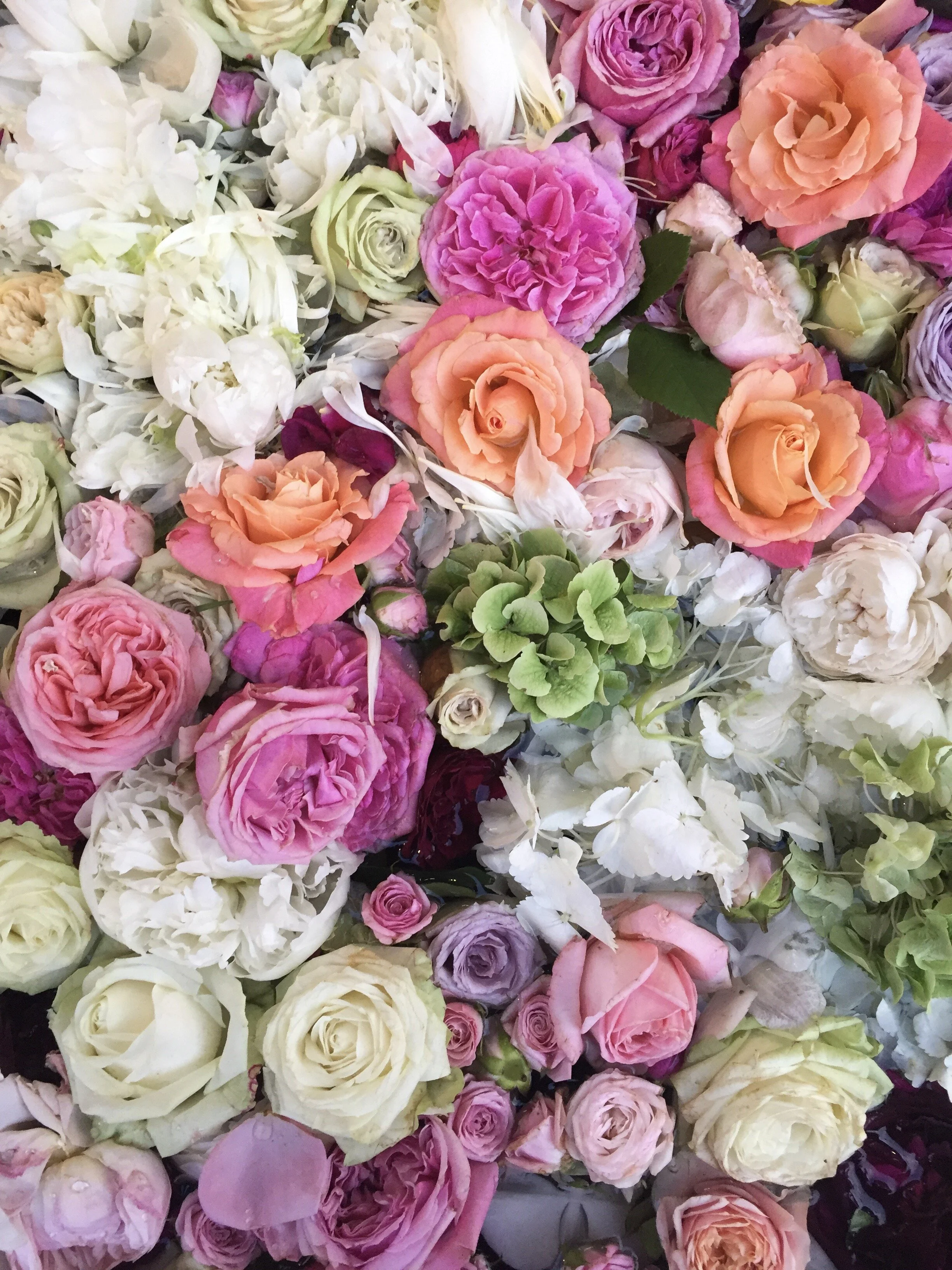 Wild Things Flowers