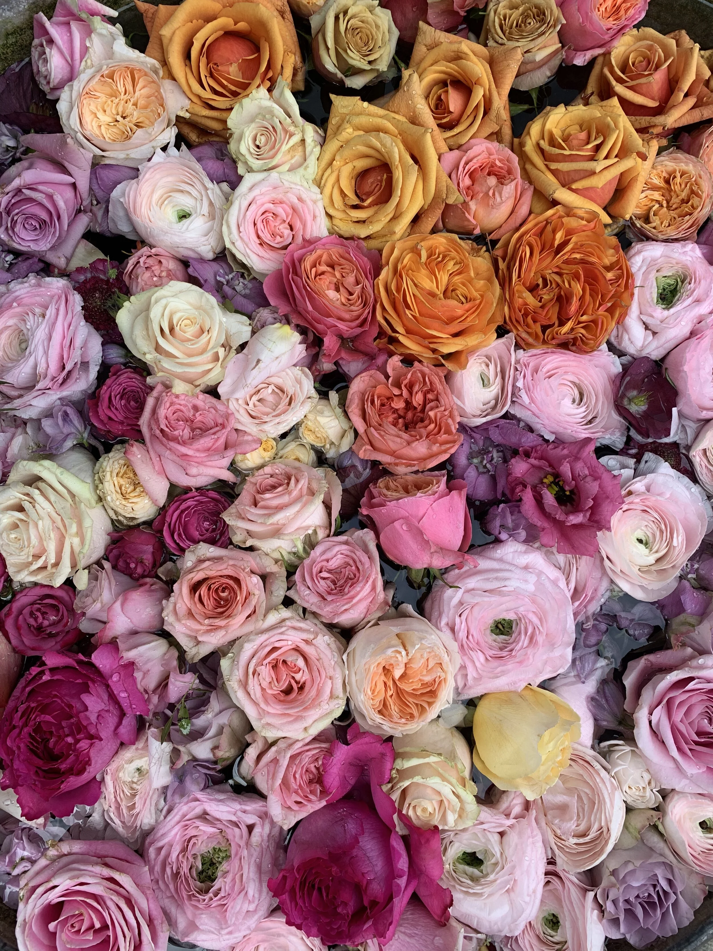 Wild Things Flowers