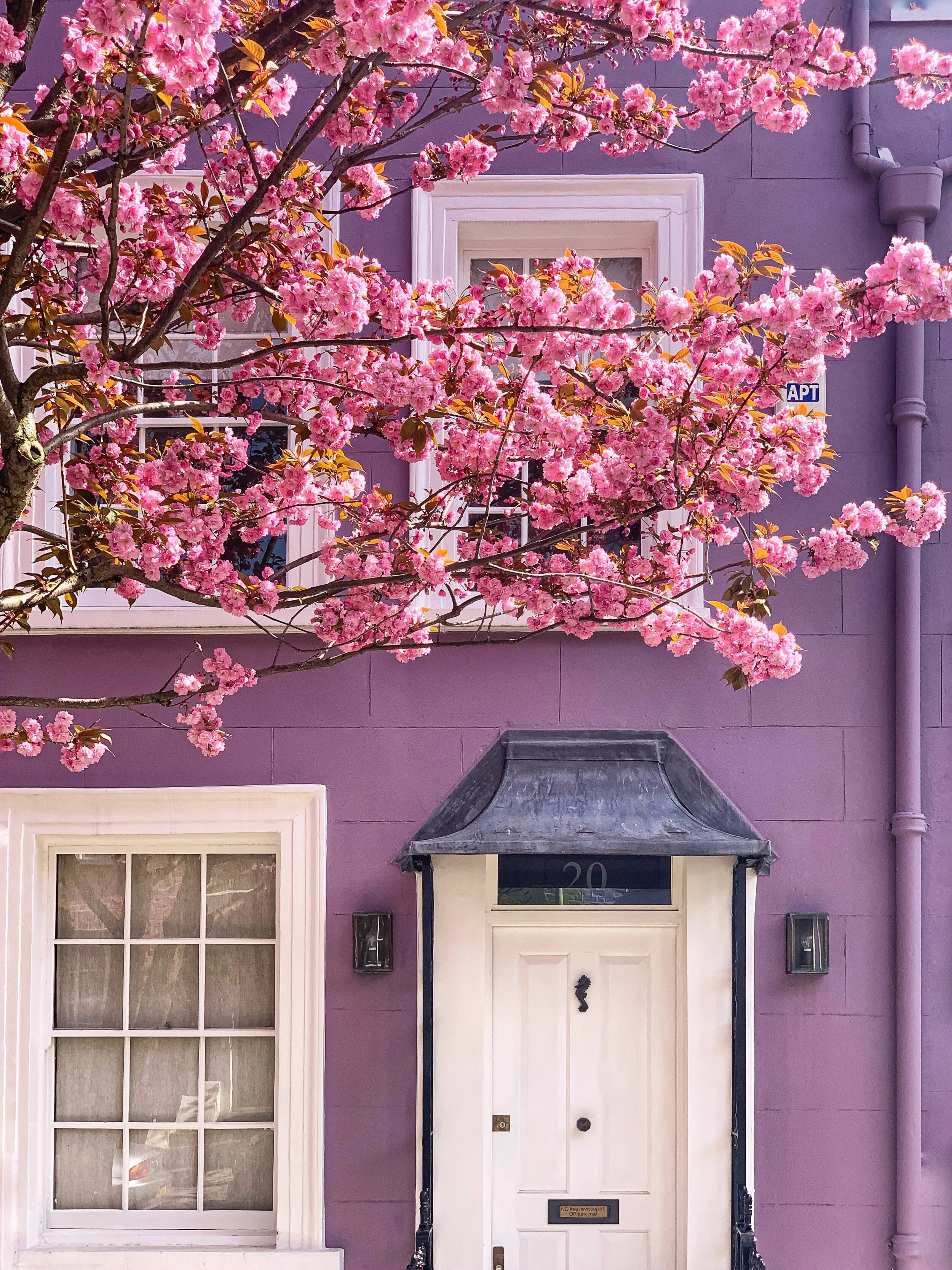 London in Bloom II