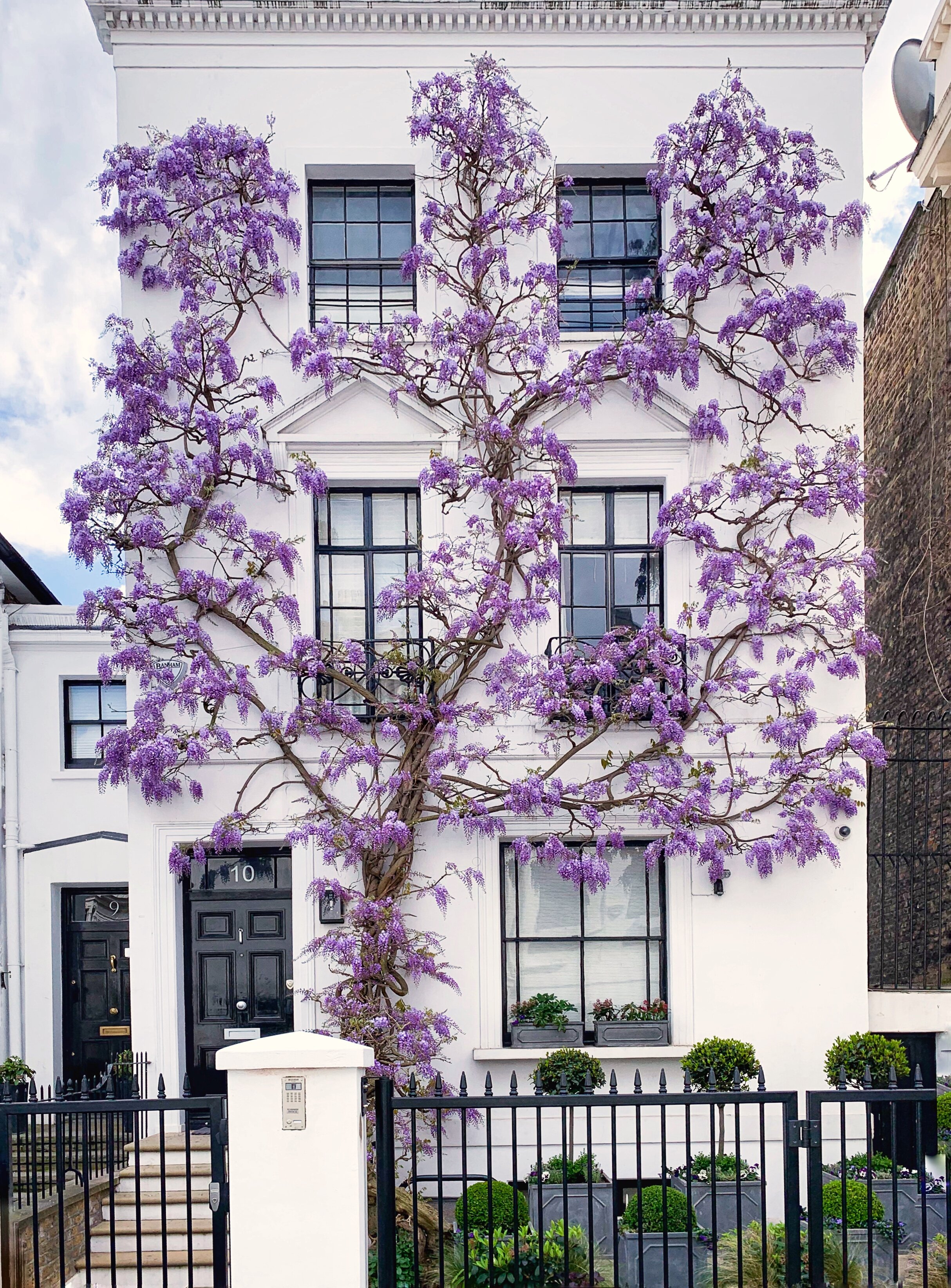 London in Bloom II