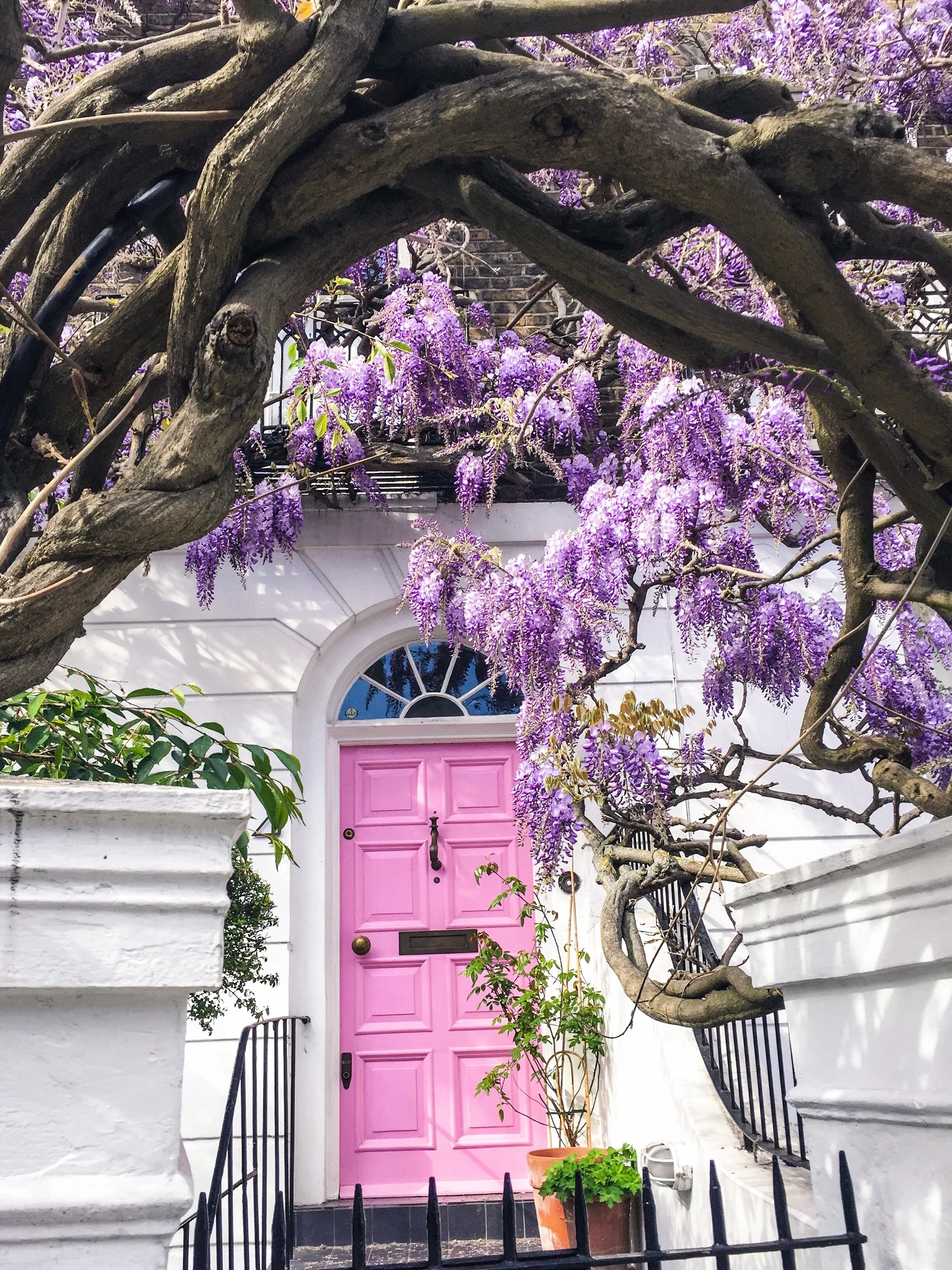 London in Bloom II